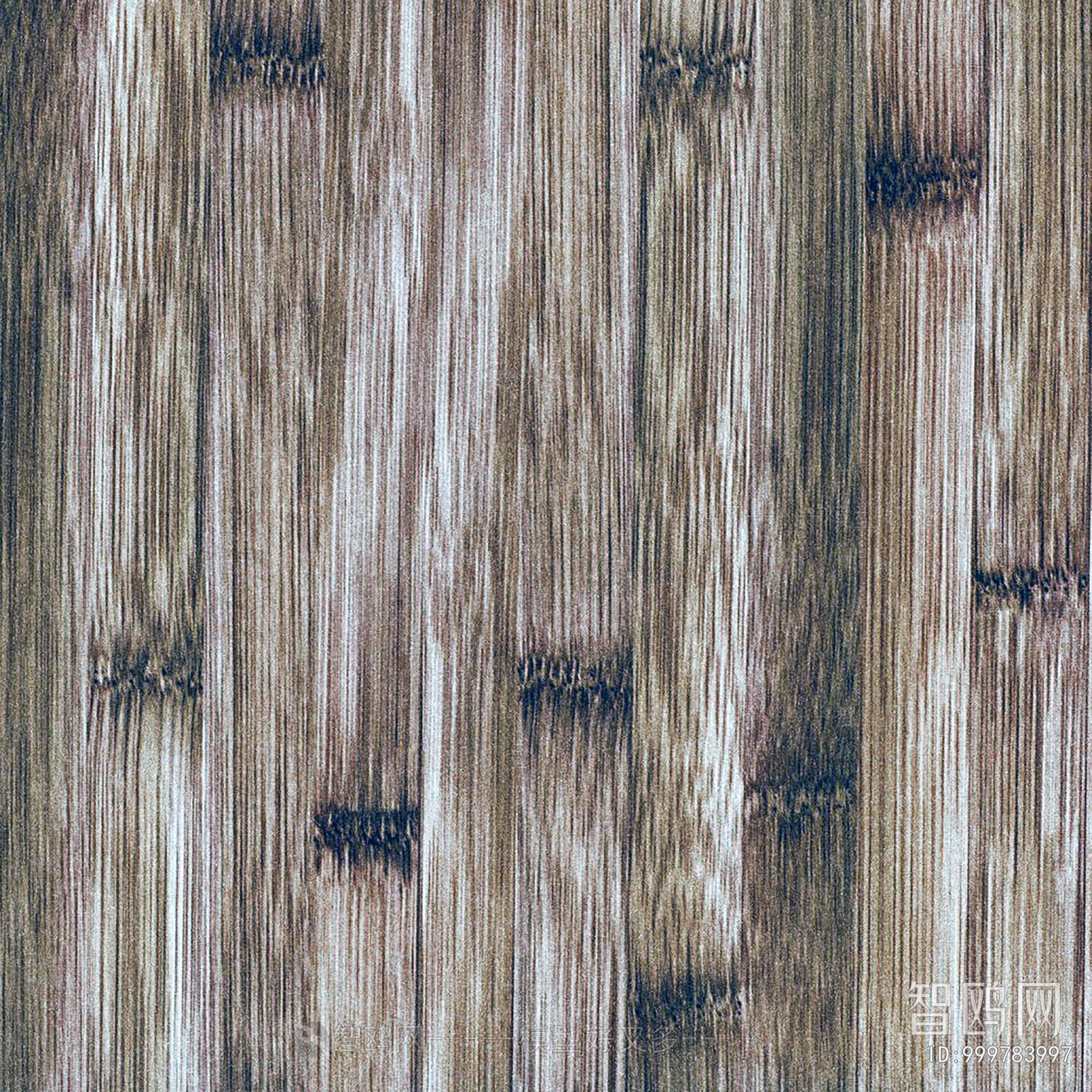 Bark Texture