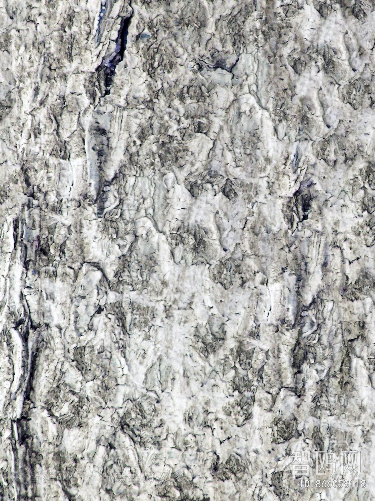 Bark Texture