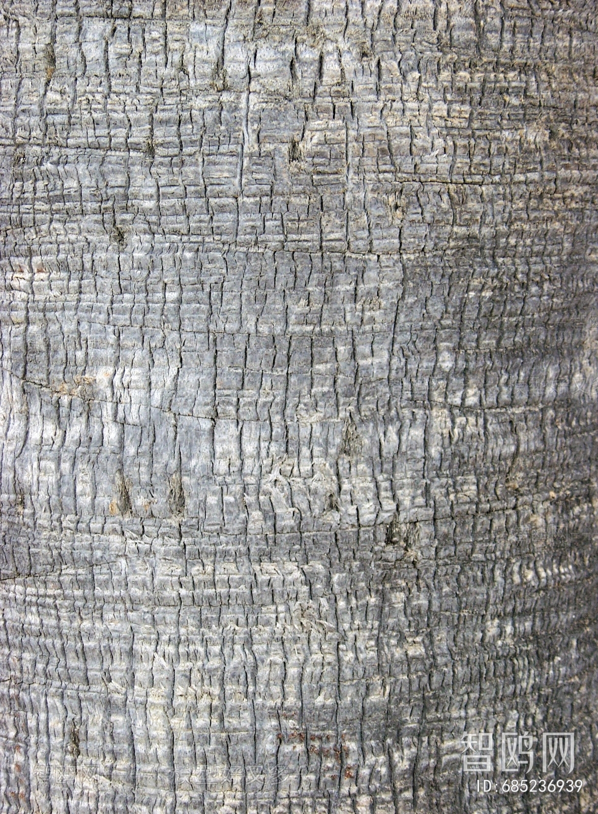 Bark Texture