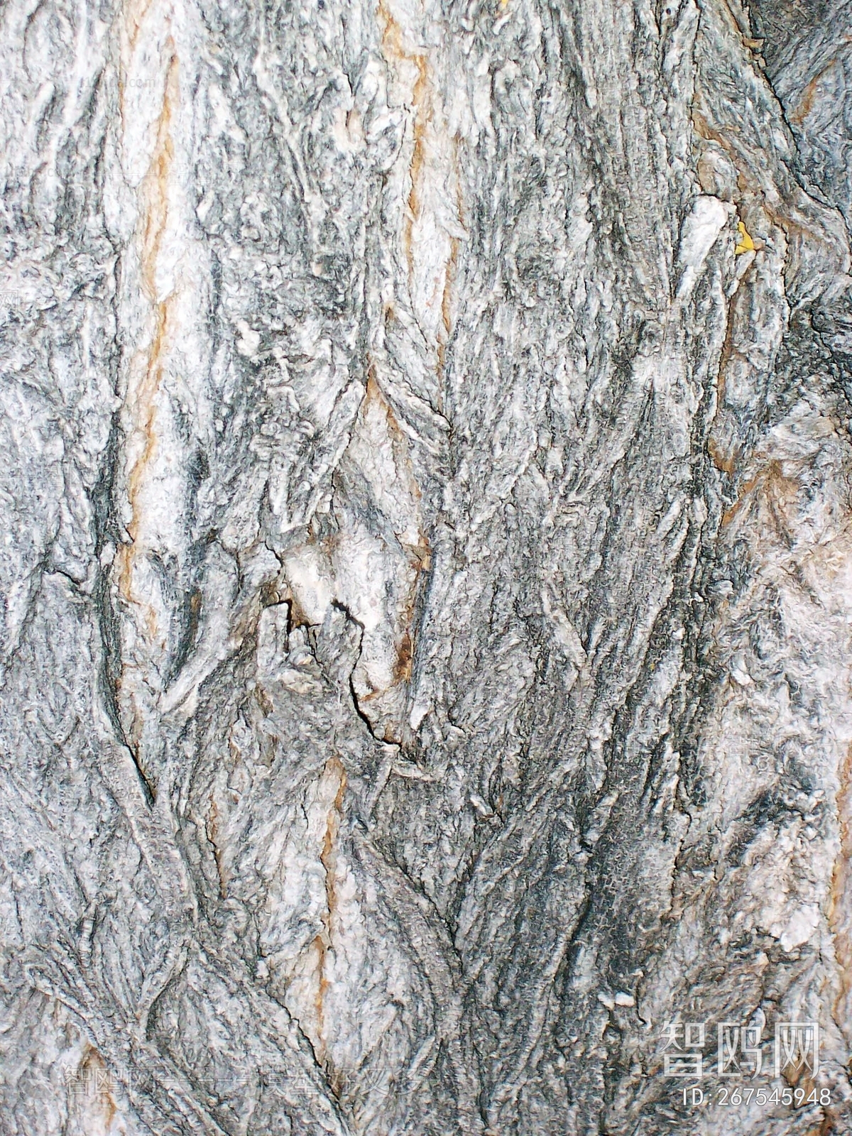 Bark Texture