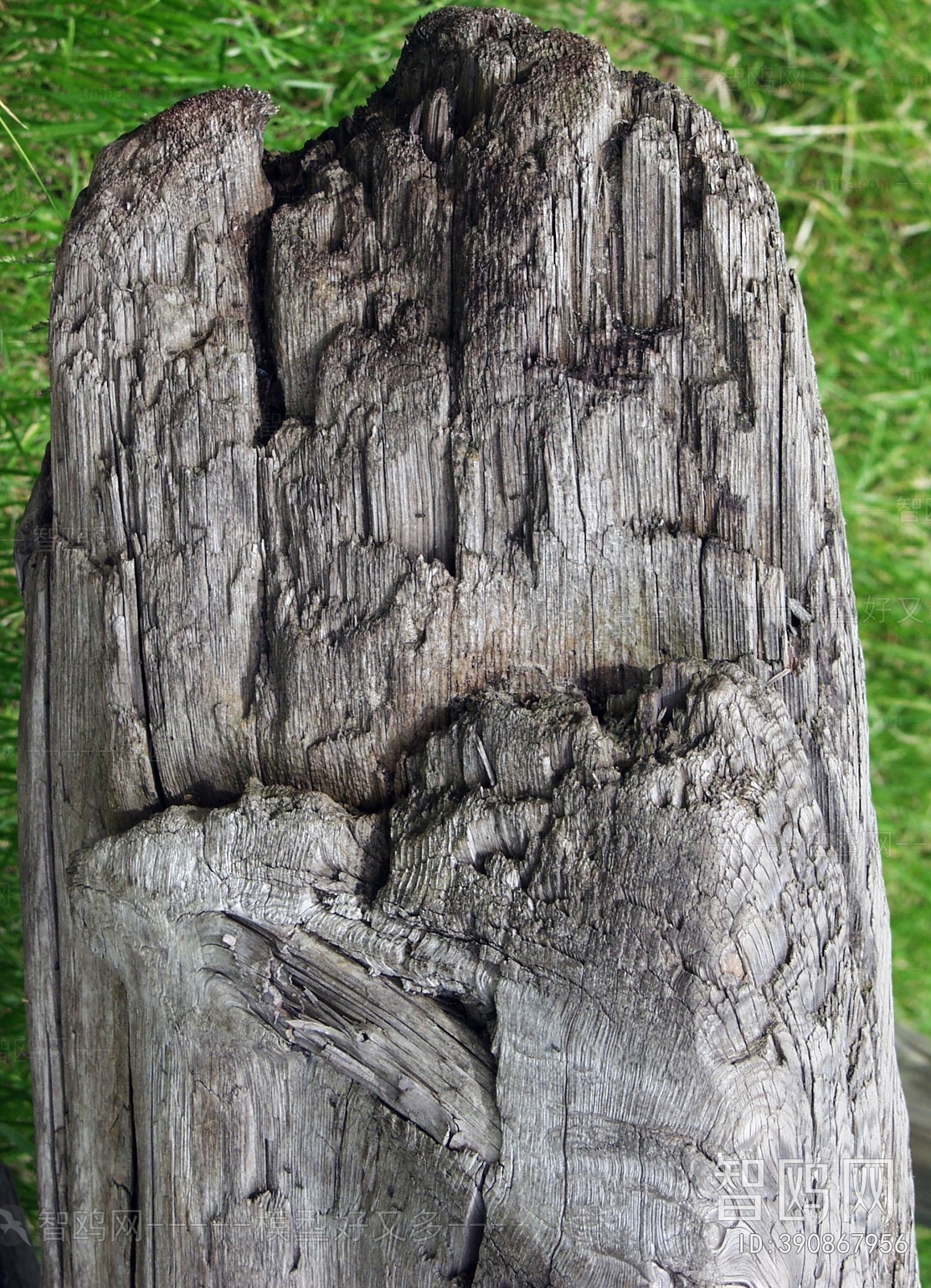 Old Wood Texture