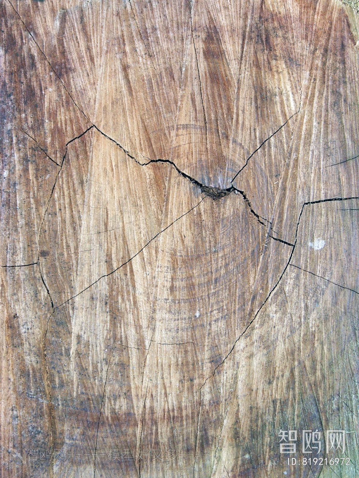 Old Wood Texture