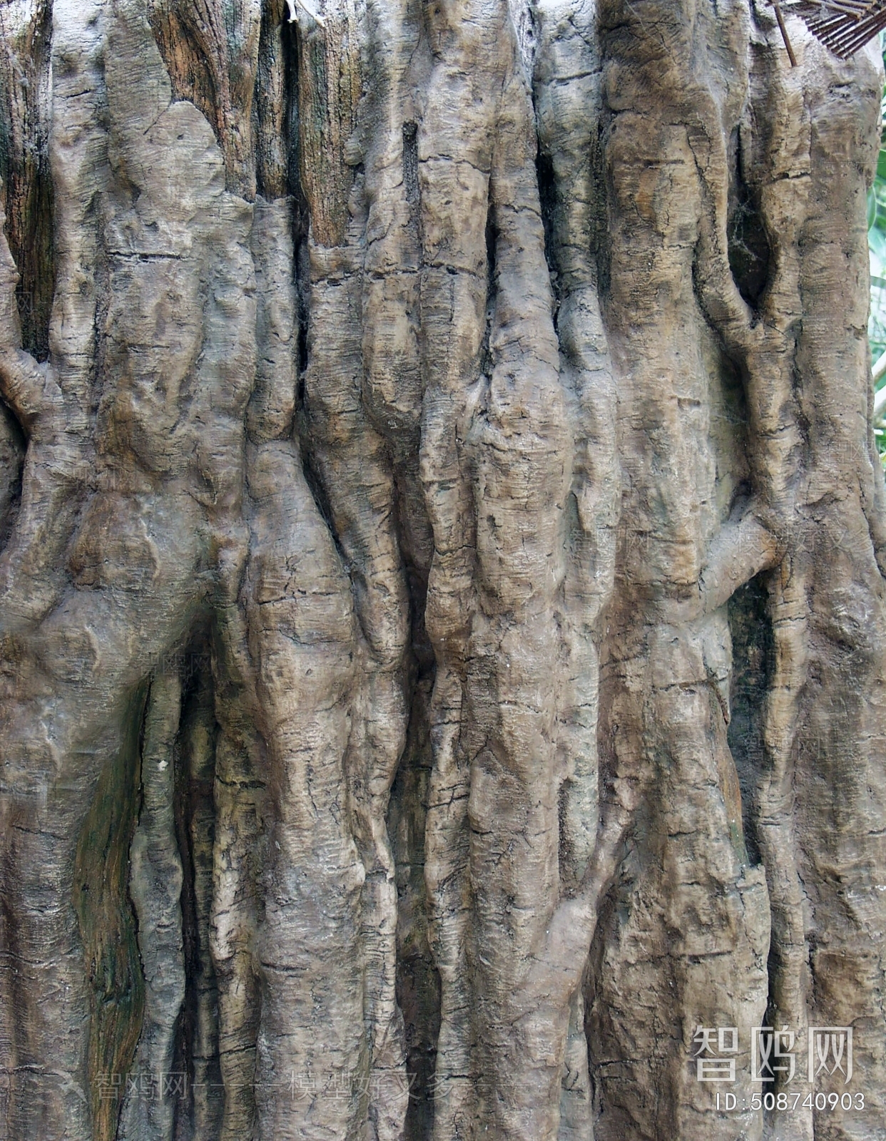 Bark Texture