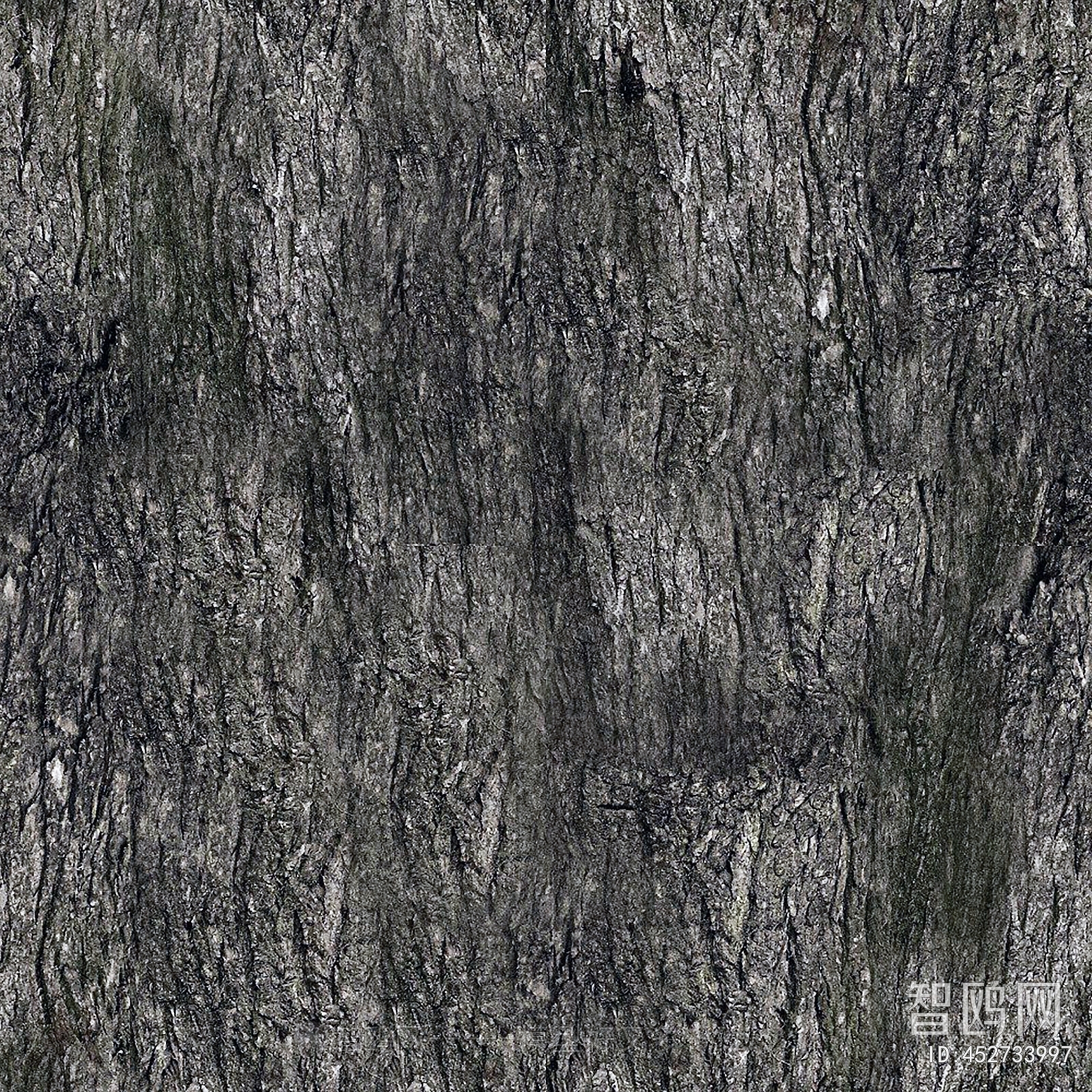 Bark Texture