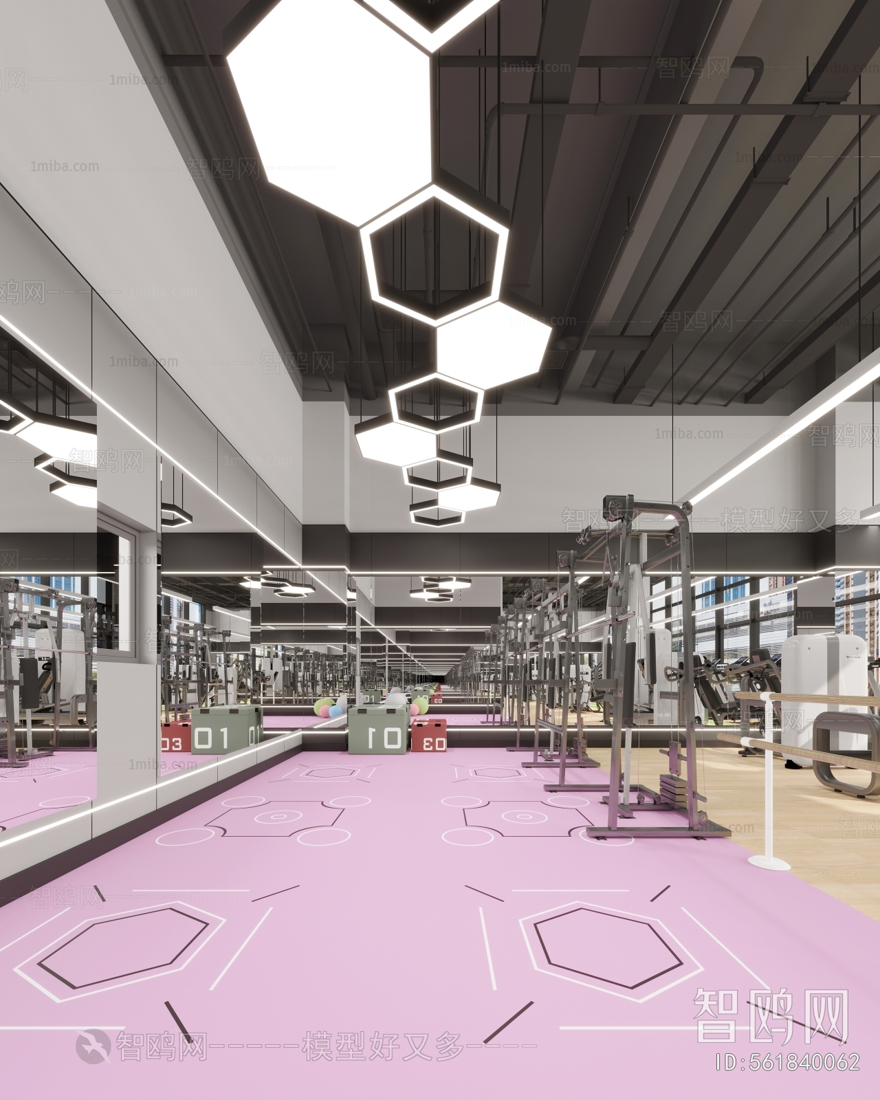 Modern Industrial Style Gym
