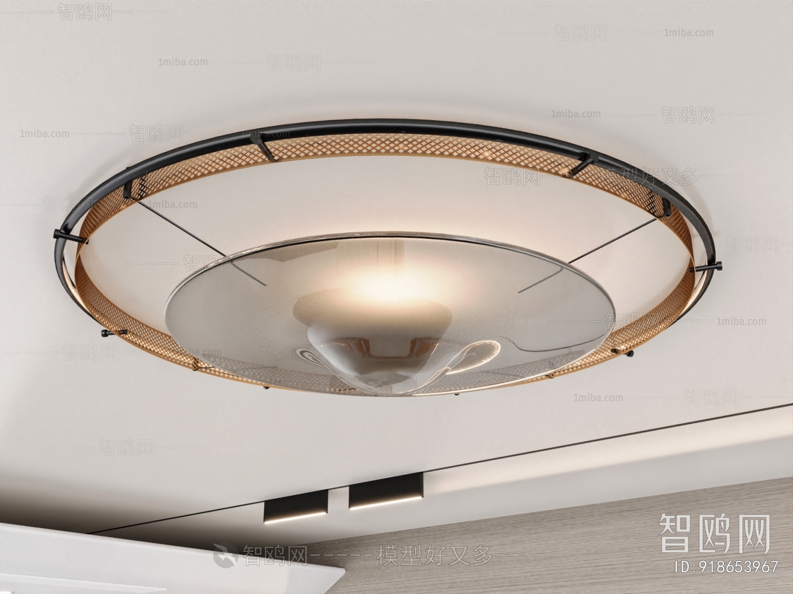 Modern Ceiling Ceiling Lamp