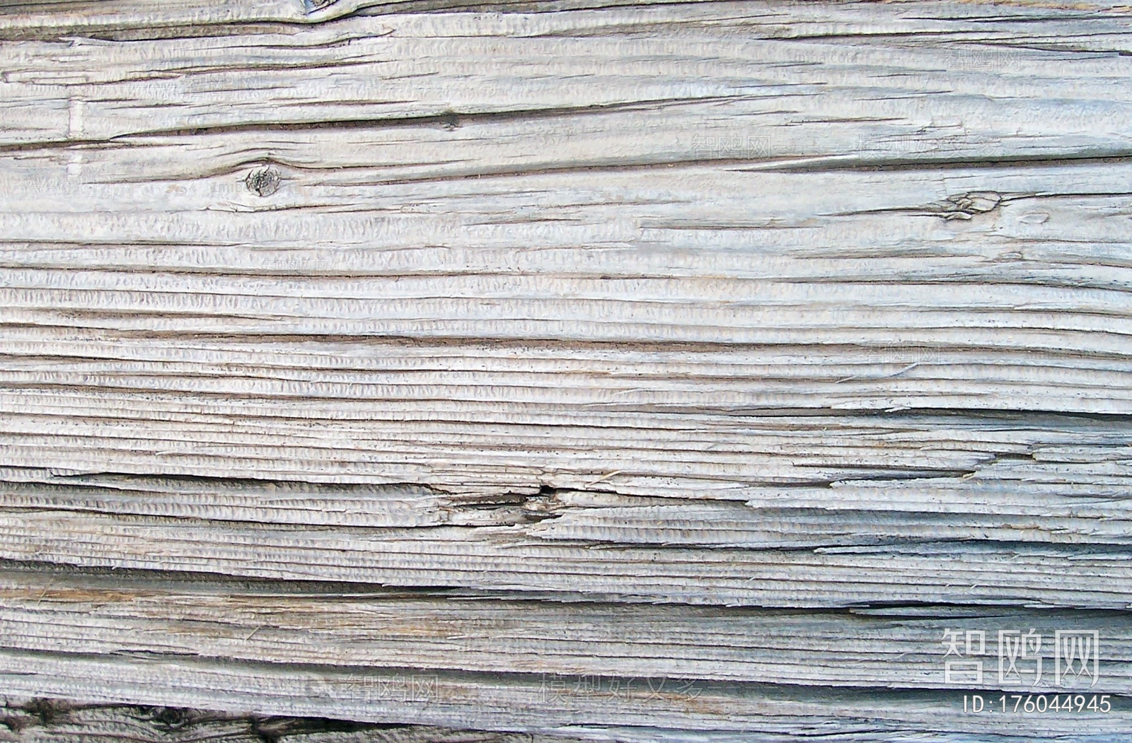 Bark Texture