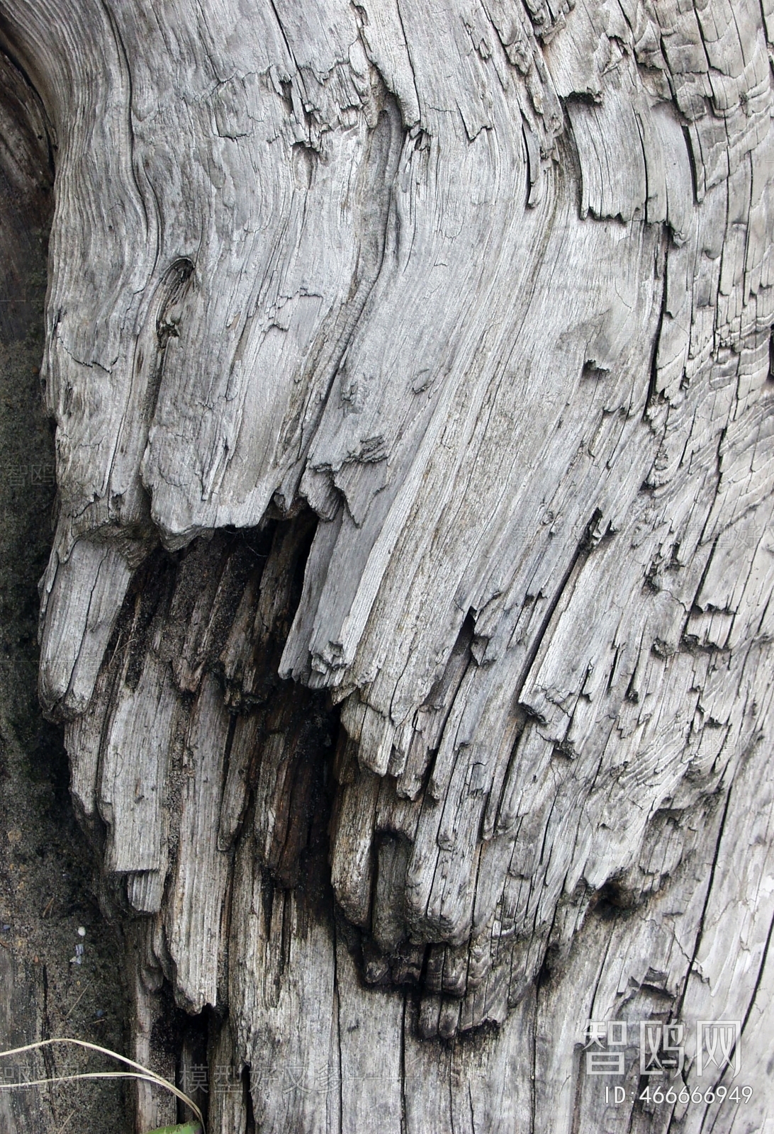 Old Wood Texture