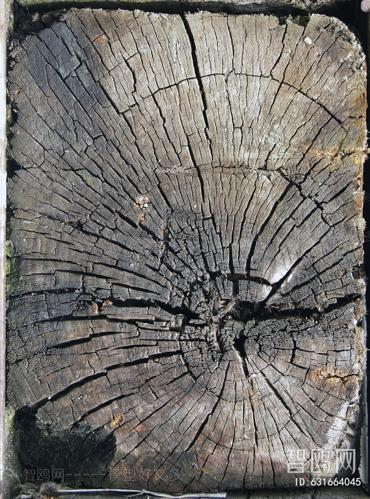 Old Wood Texture