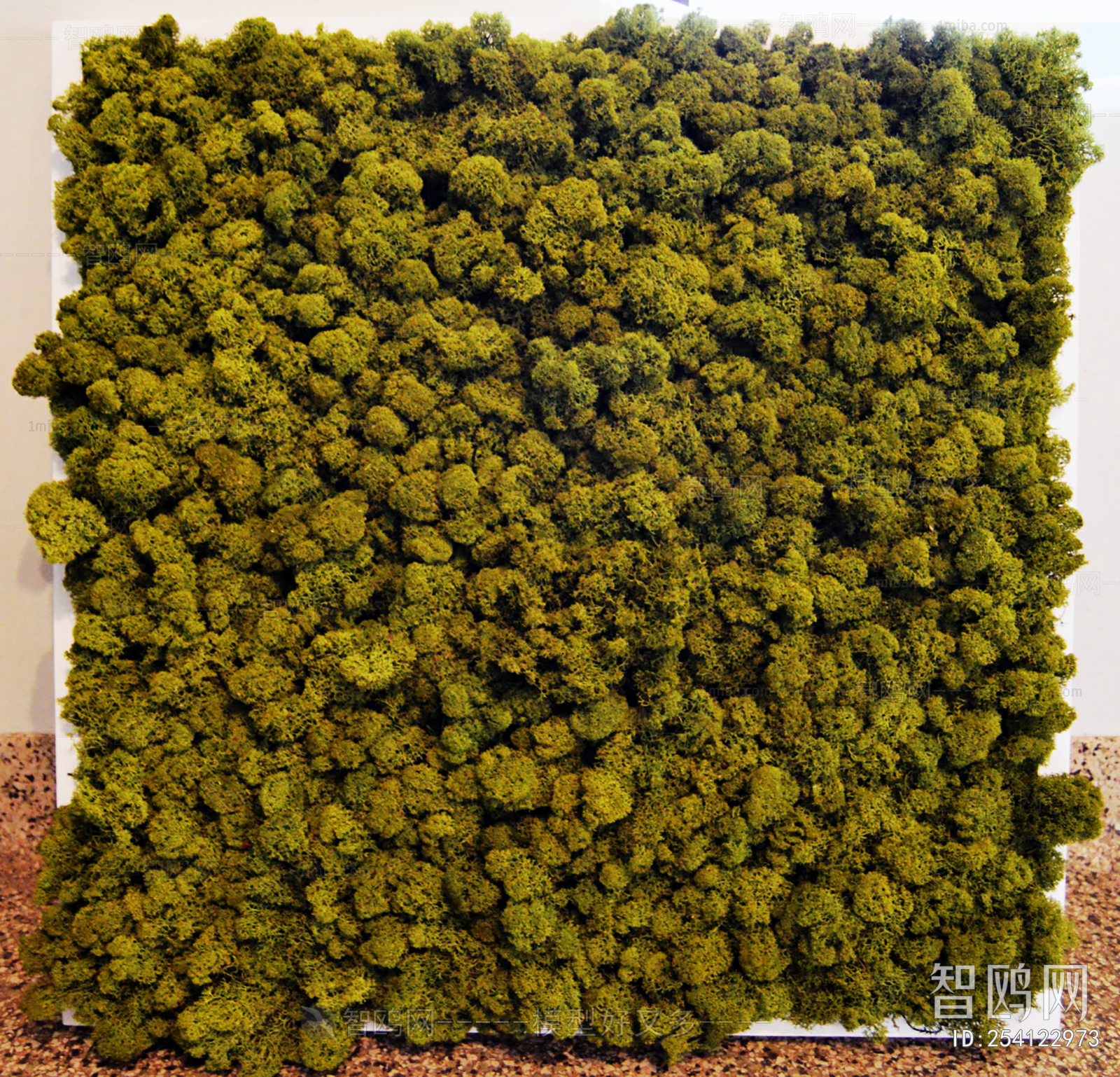 绿植墙植物堆