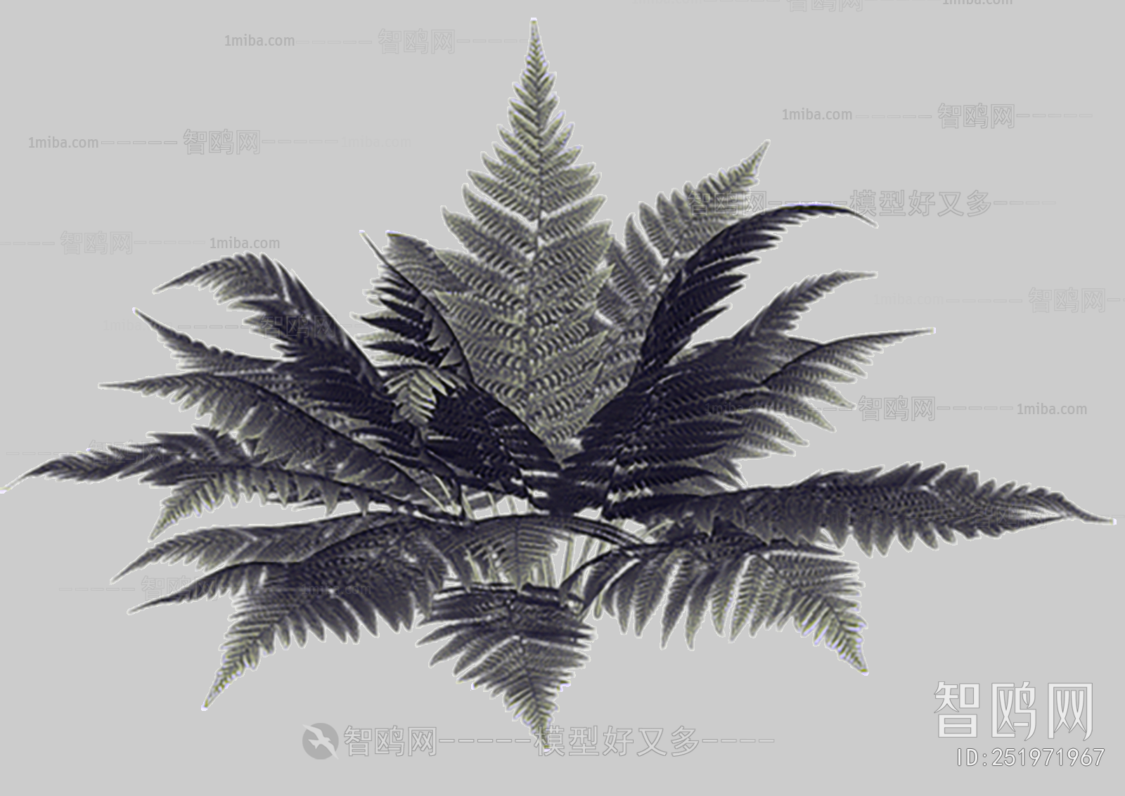 植物绿植