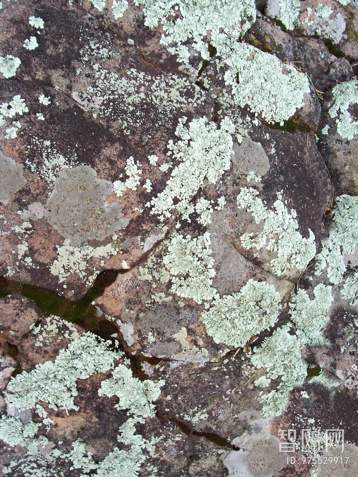 Other Stone Textures