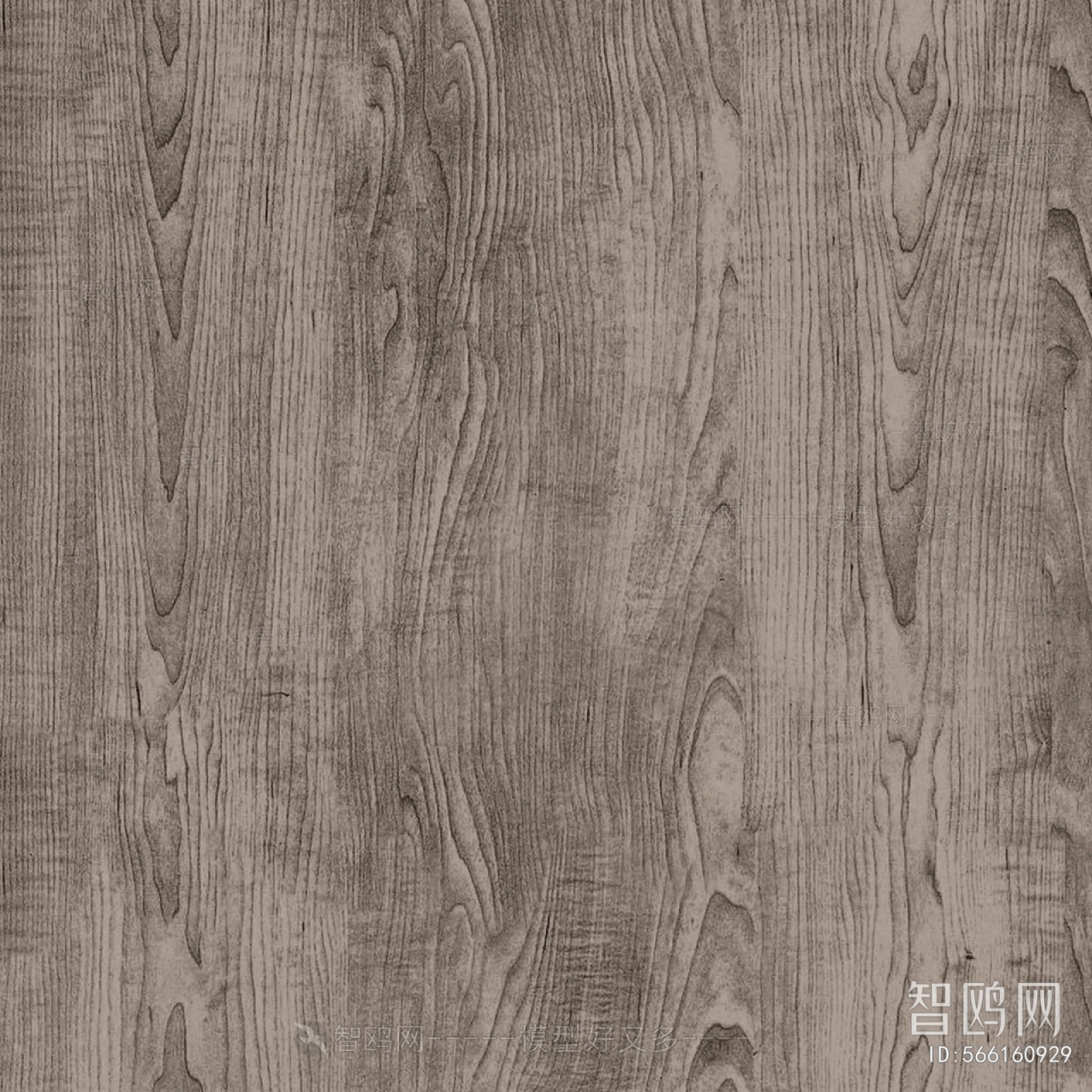 Wood Texture