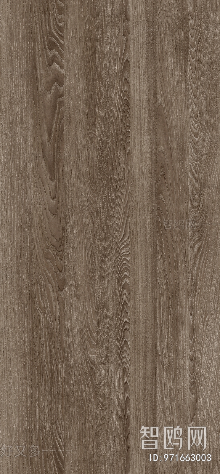 Wood Texture