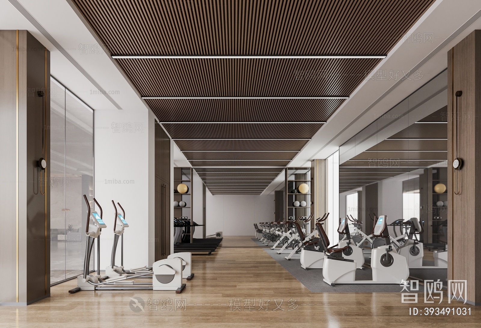 Modern Gym