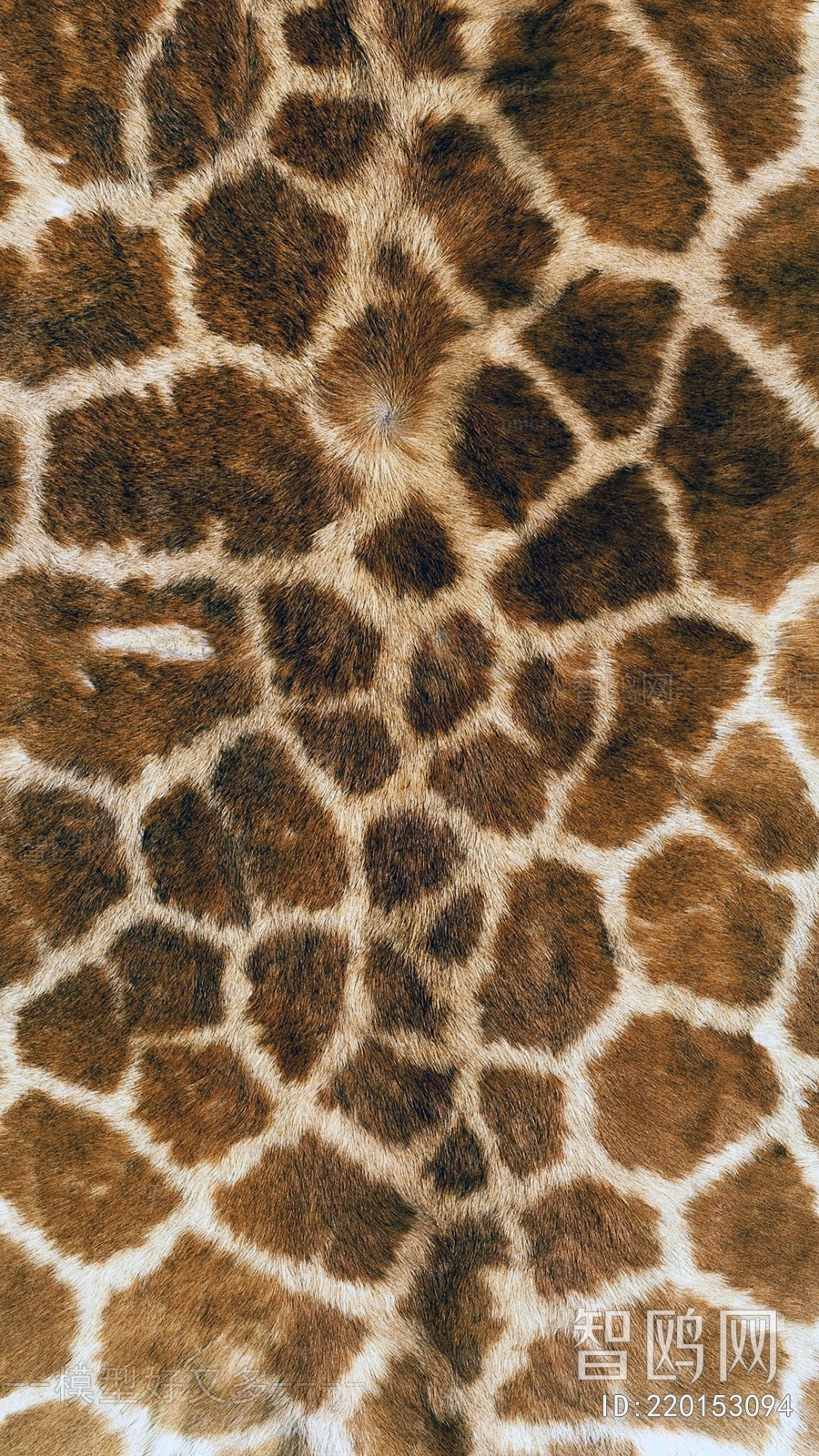 Animal Fur