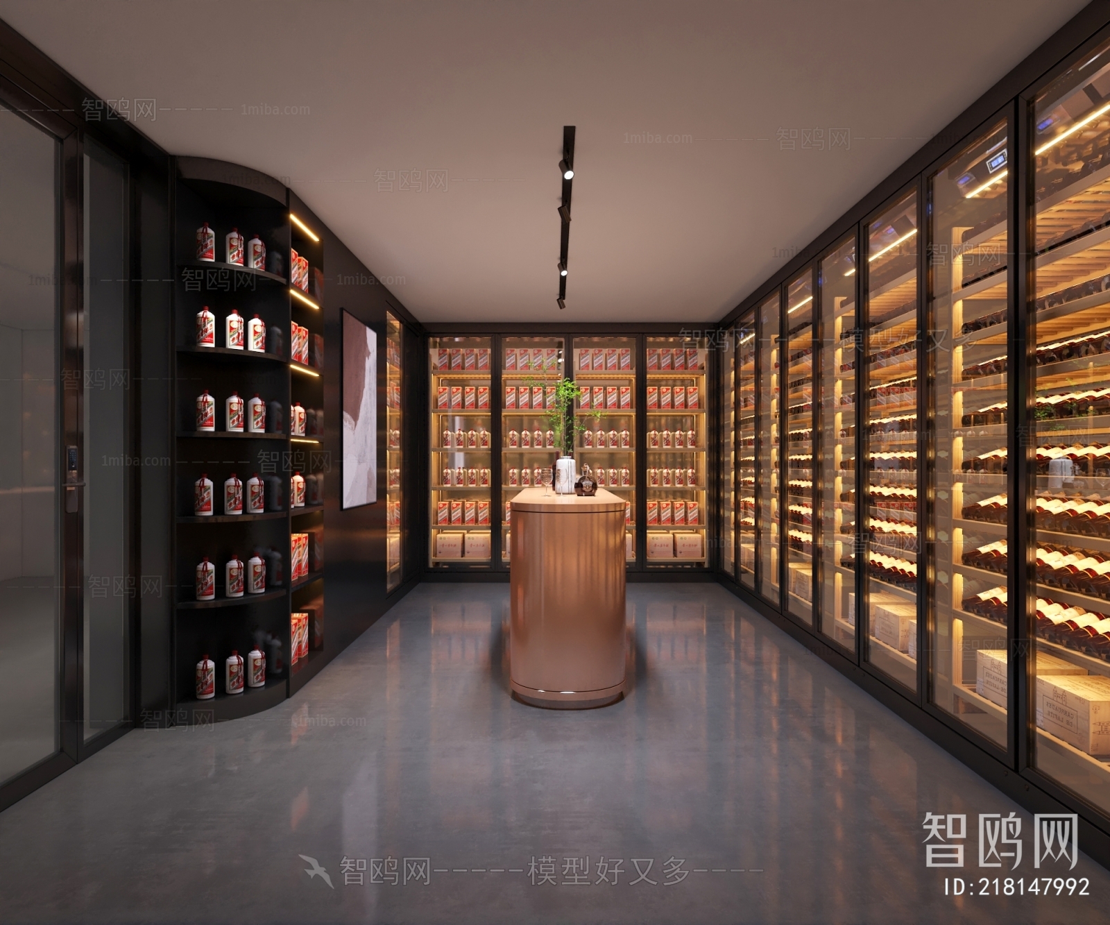 Modern Wine Cellar/Wine Tasting Room