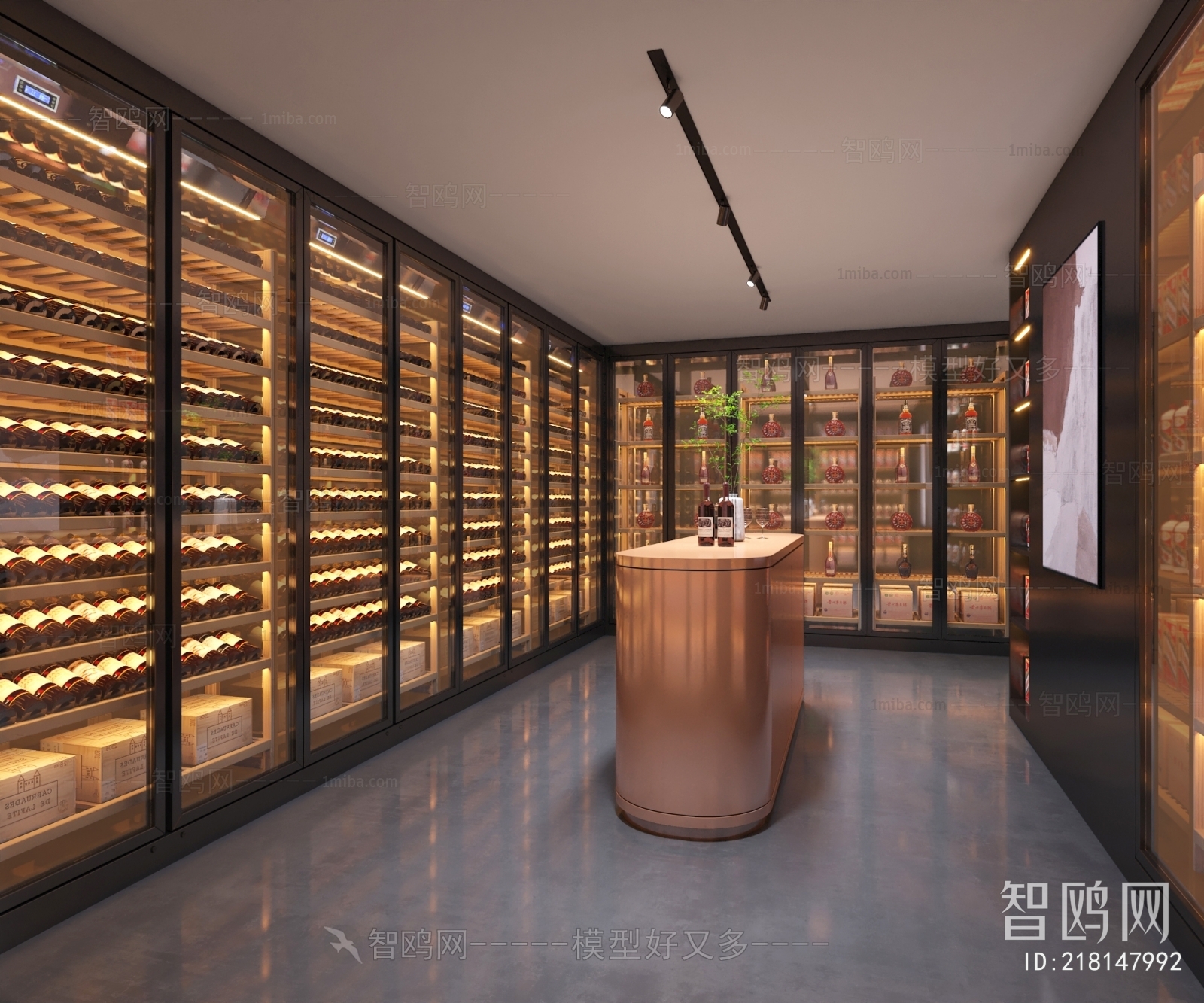 Modern Wine Cellar/Wine Tasting Room