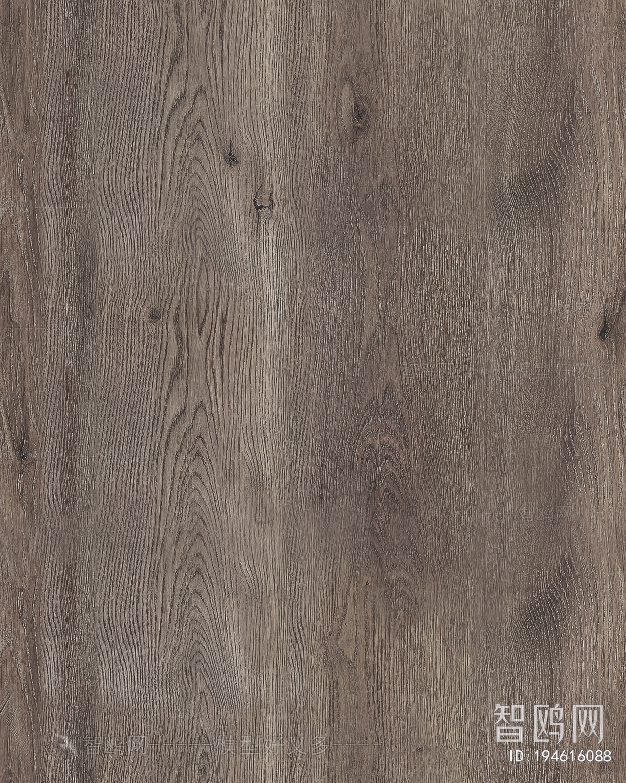 Wood Texture