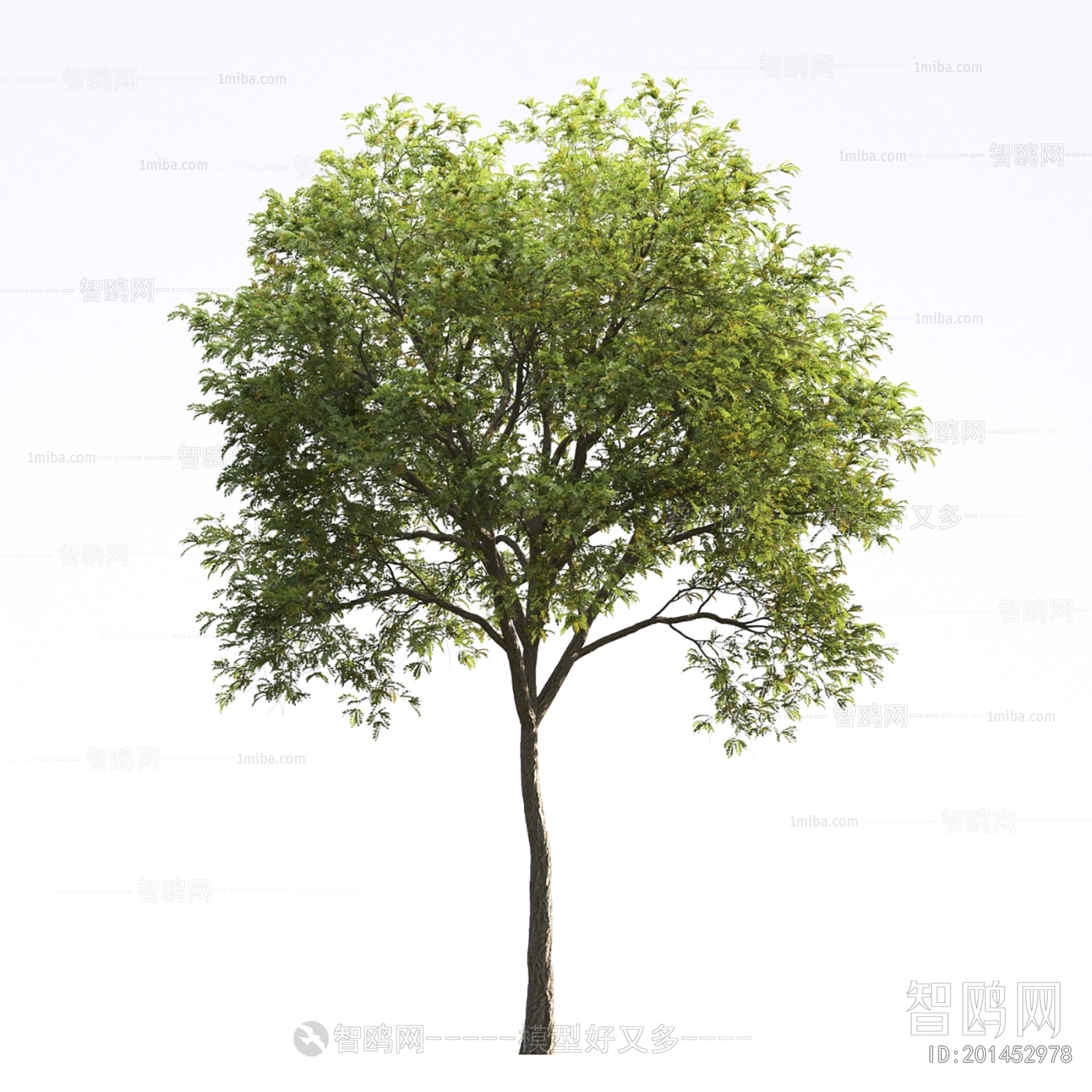 Modern Tree