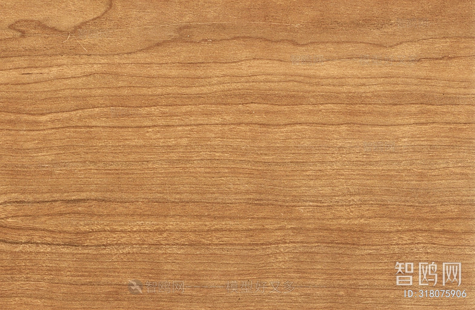 Wood Texture