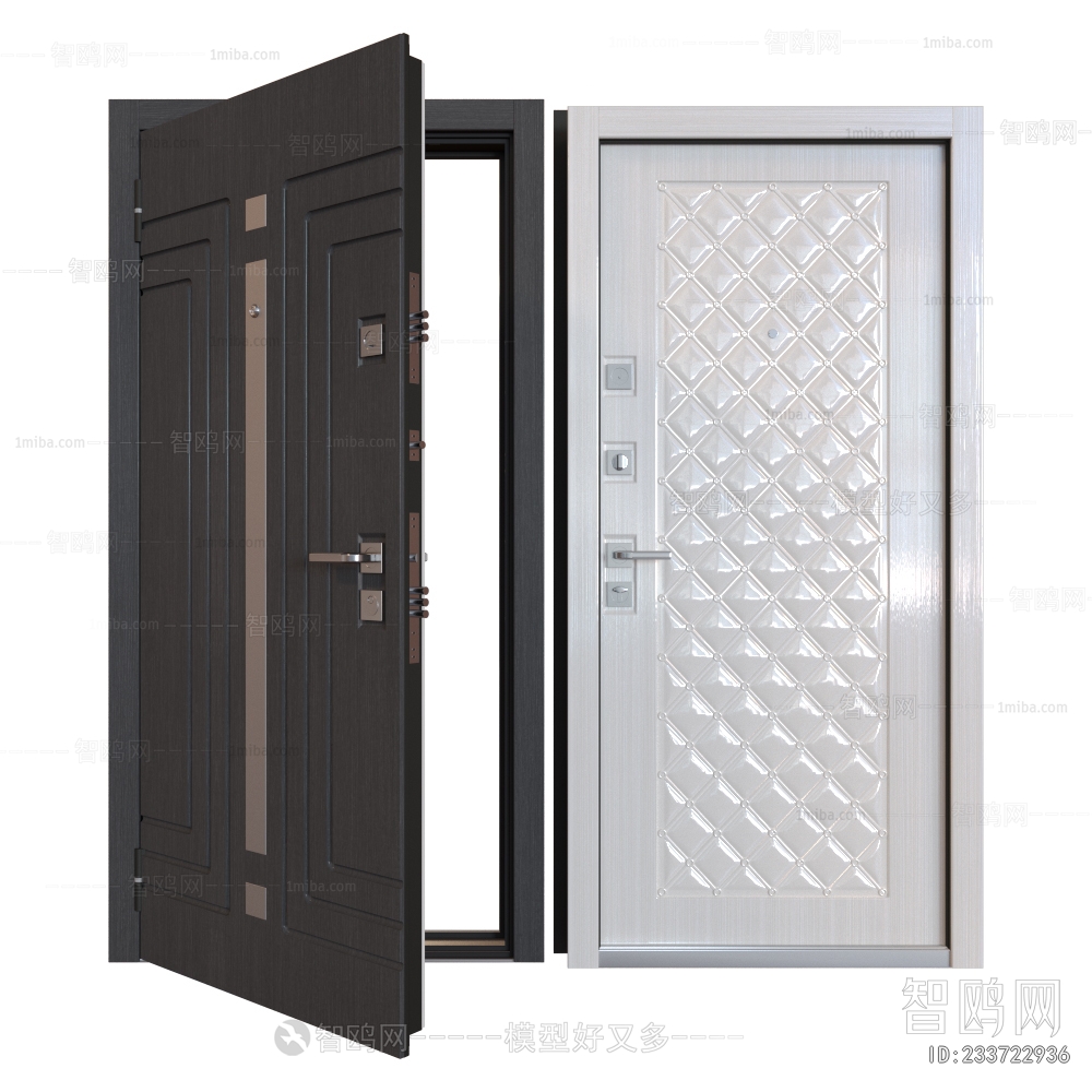 Modern Entrance Door