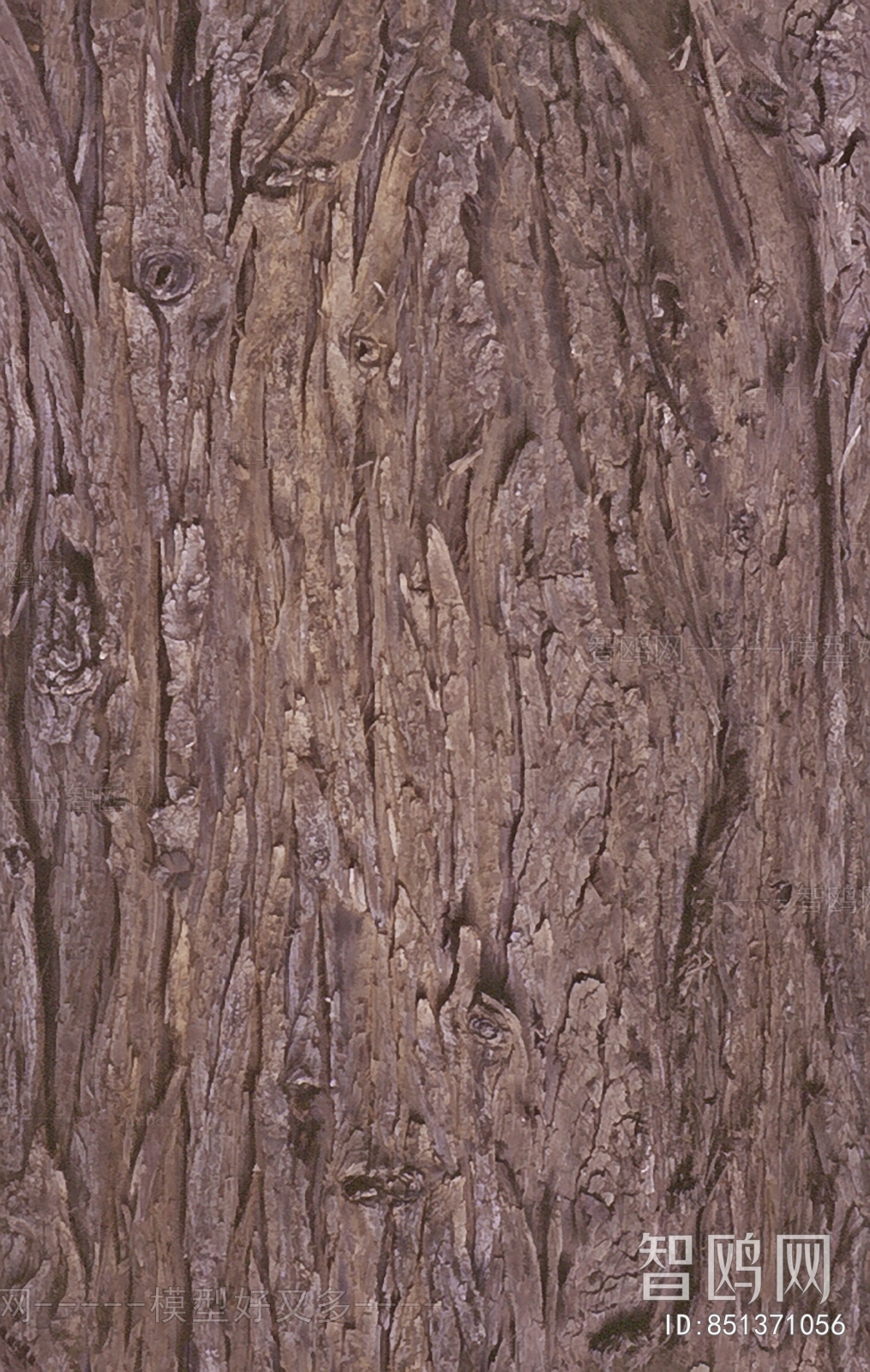 Bark Texture