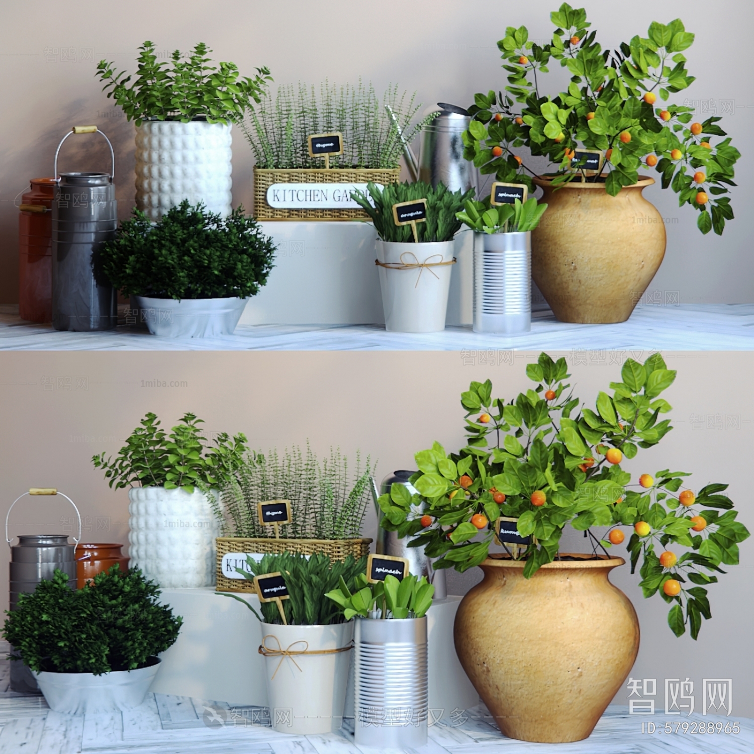 Modern Potted Green Plant