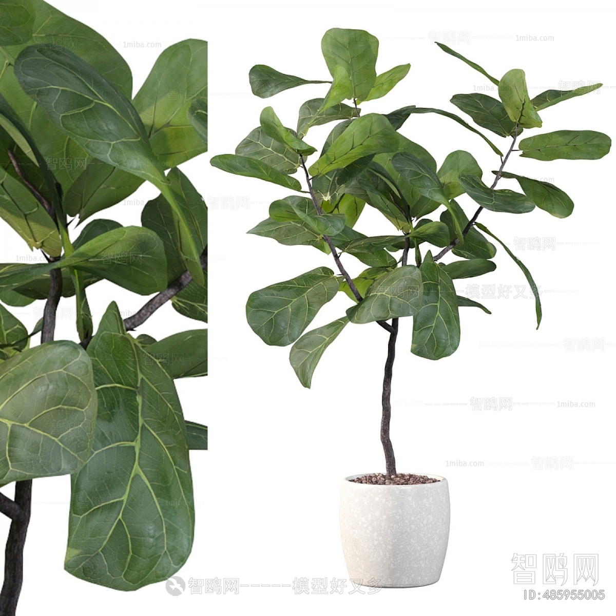 Modern Ground Green Plant Potted Plants