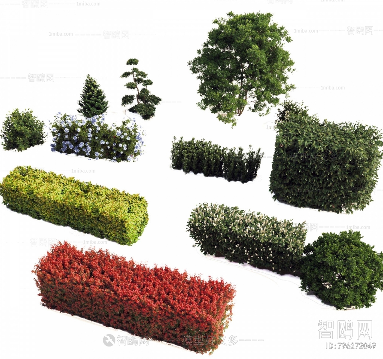 Modern Shrubbery