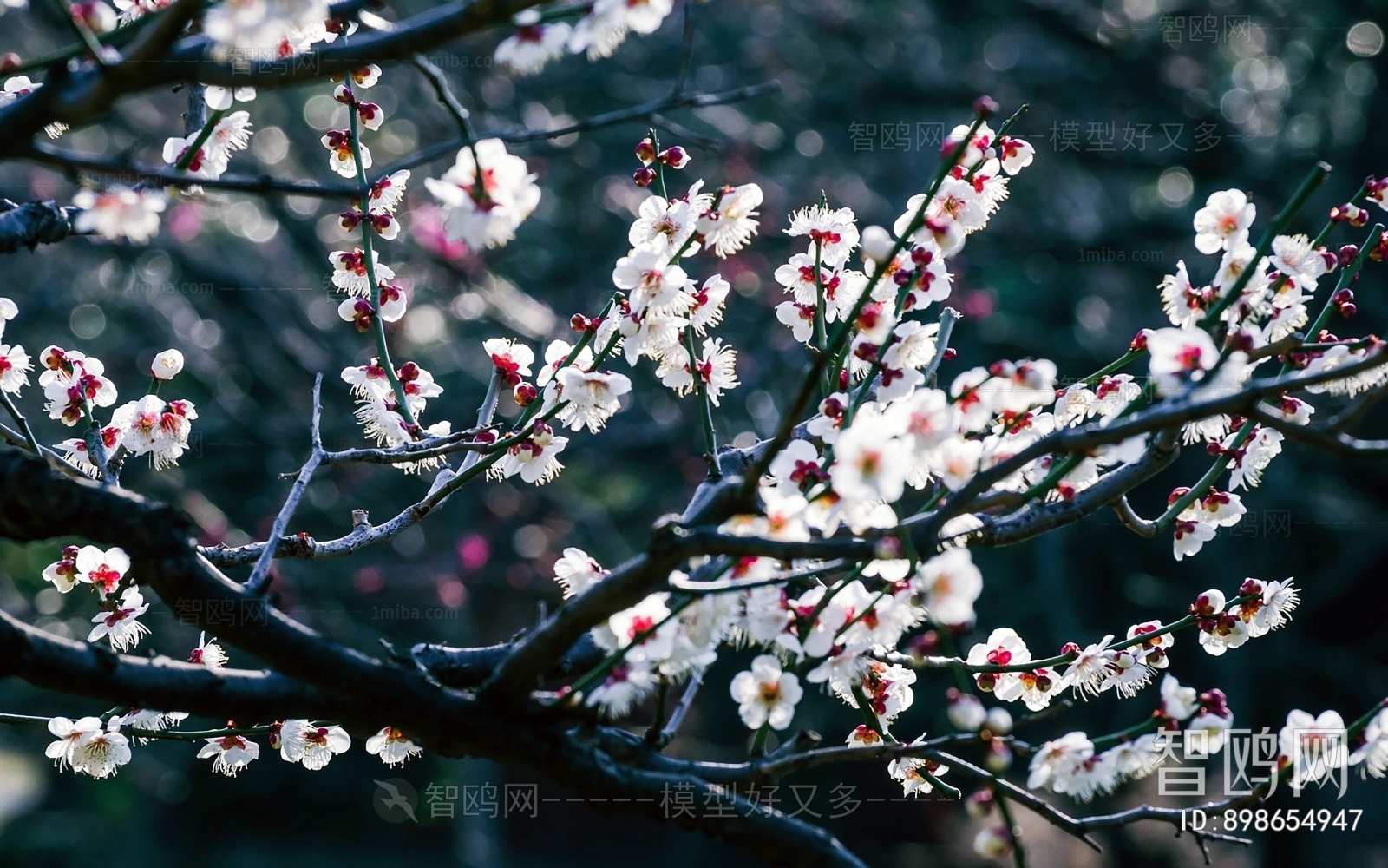 花朵装饰画