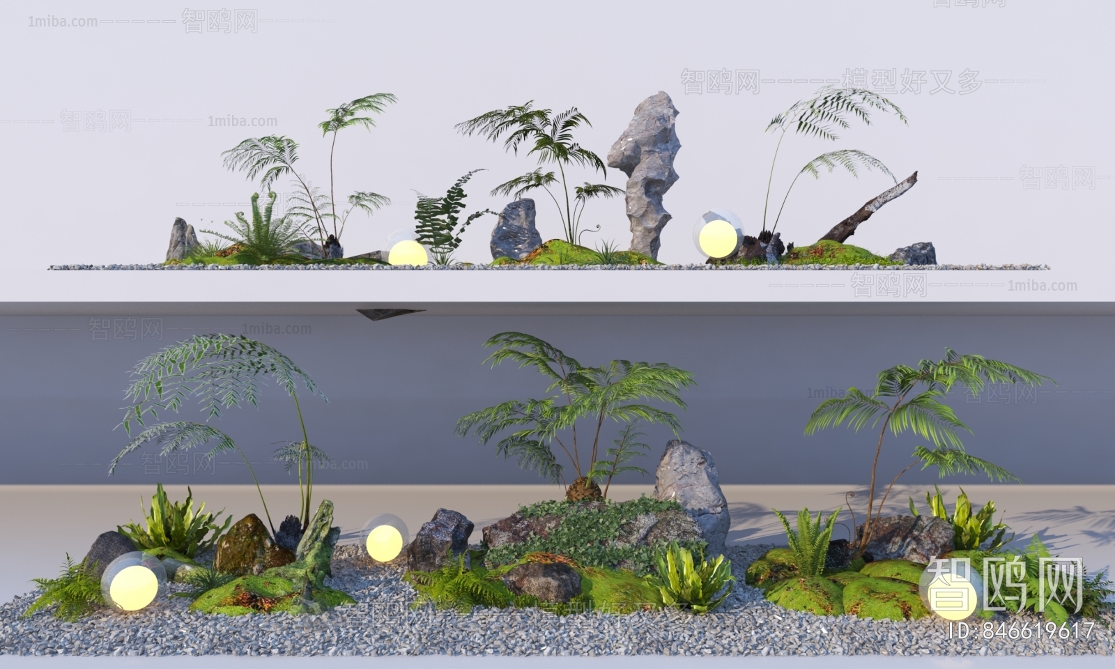 Modern Plant Landscaping