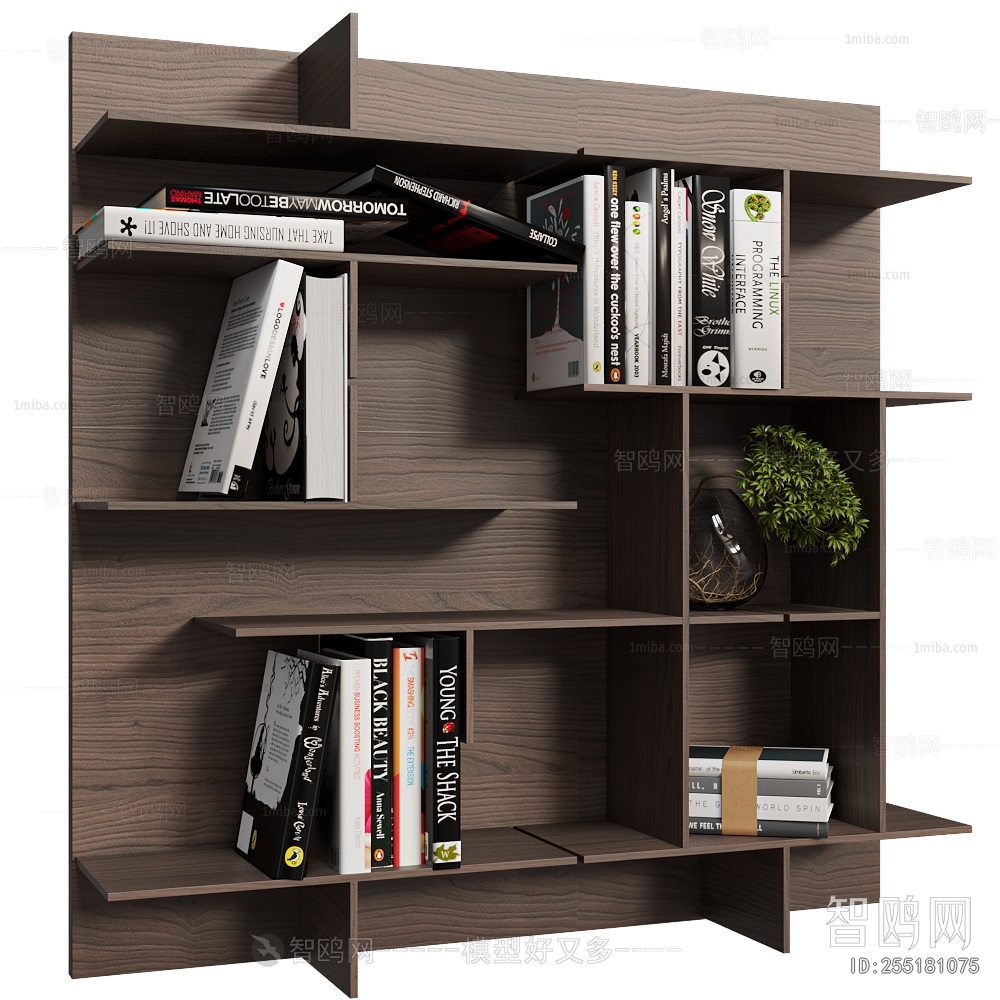 Modern Bookshelf