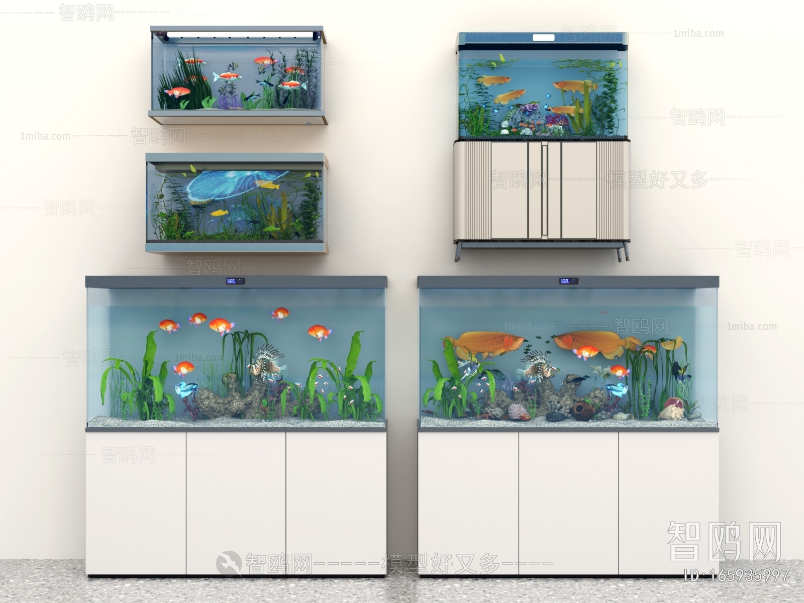 Modern Fish Tank