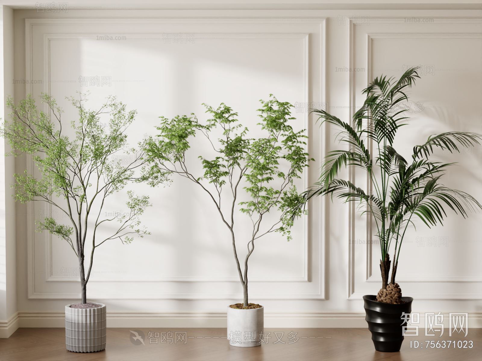 Modern Ground Green Plant Potted Plants