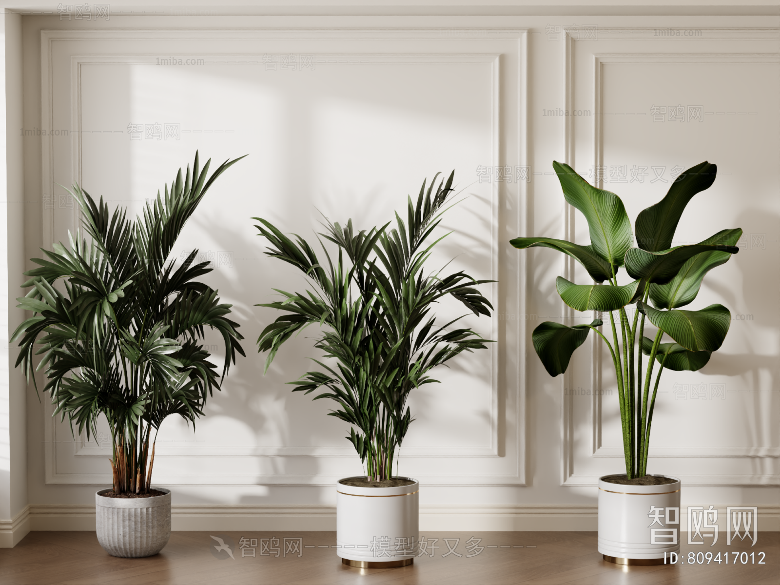 Modern Ground Green Plant Potted Plants