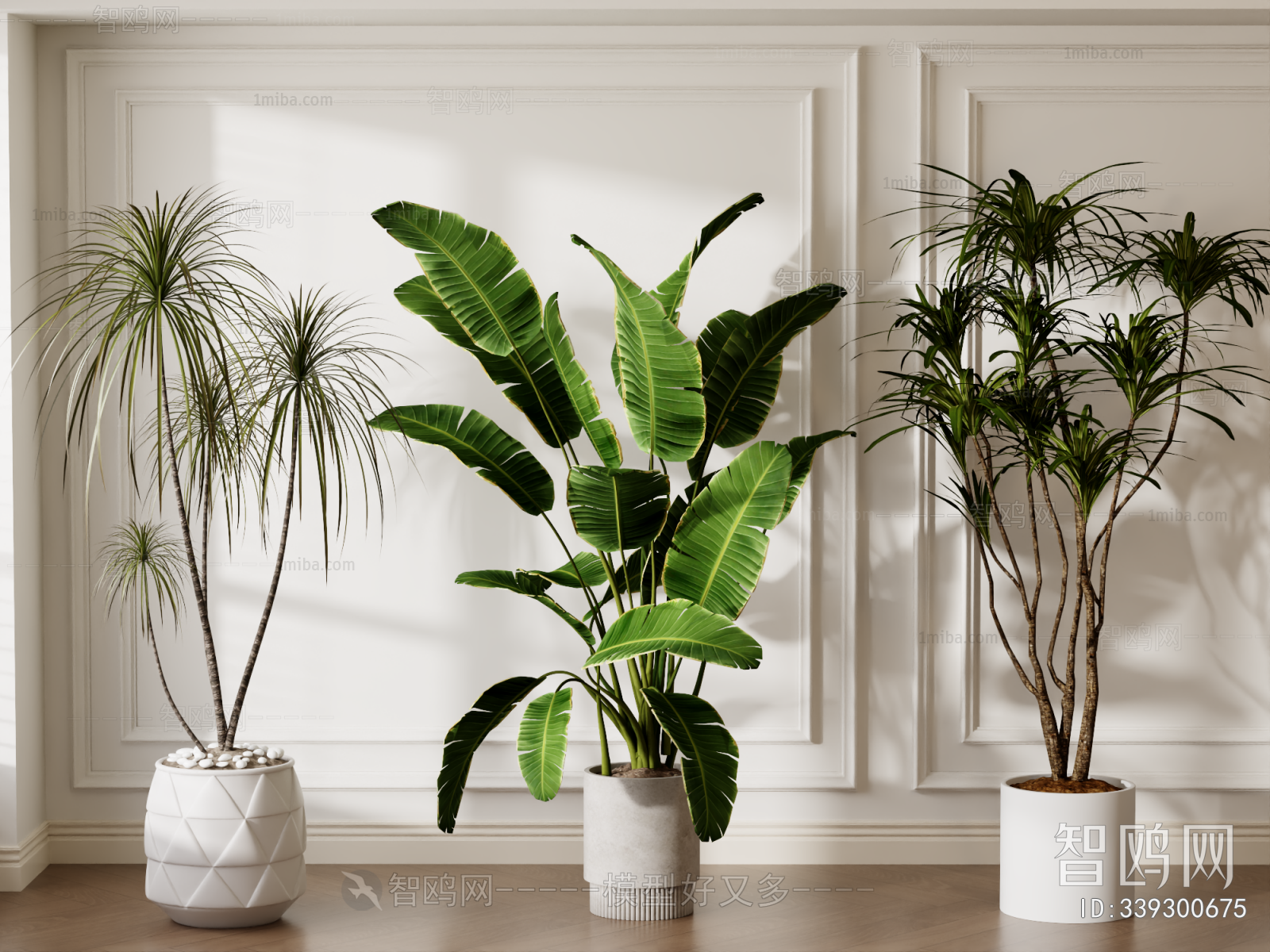 Modern Ground Green Plant Potted Plants