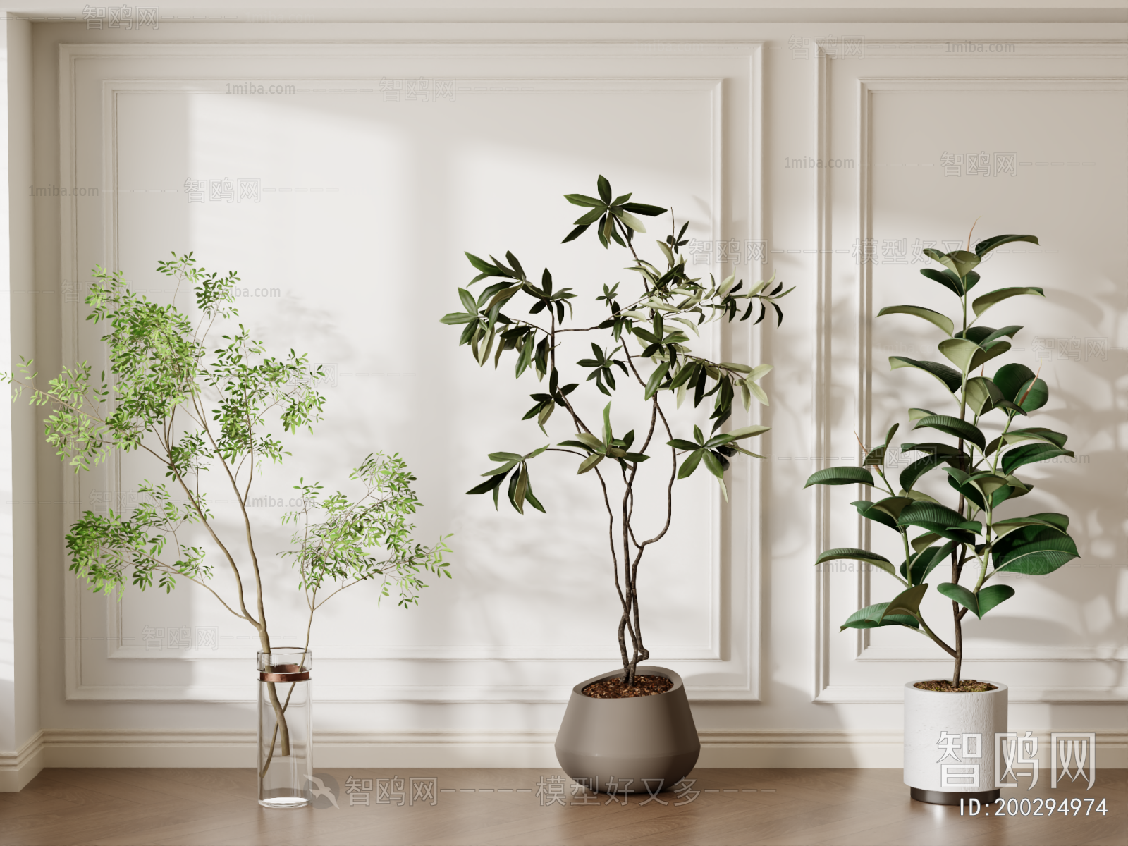 Modern Ground Green Plant Potted Plants