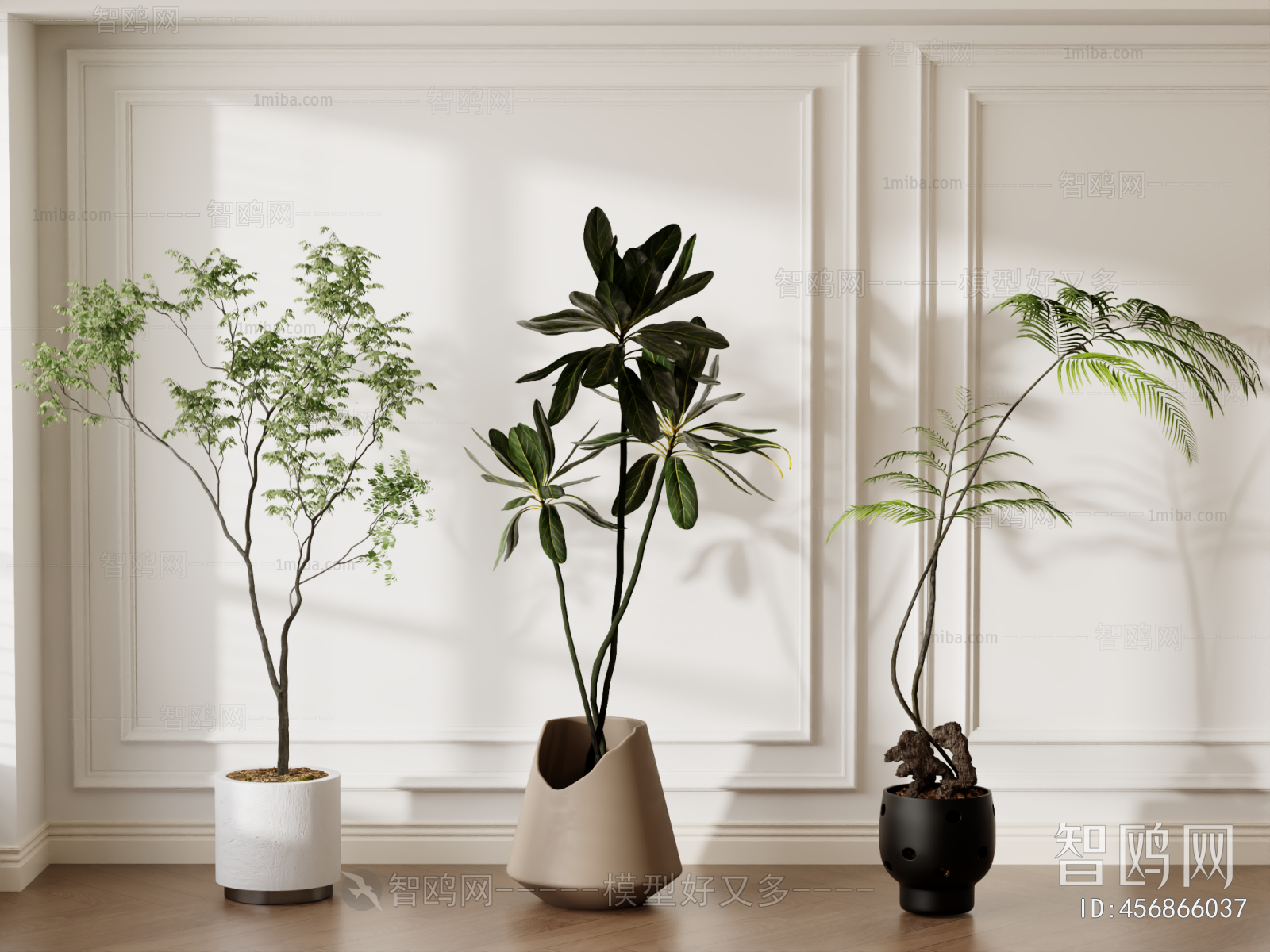 Modern Ground Green Plant Potted Plants