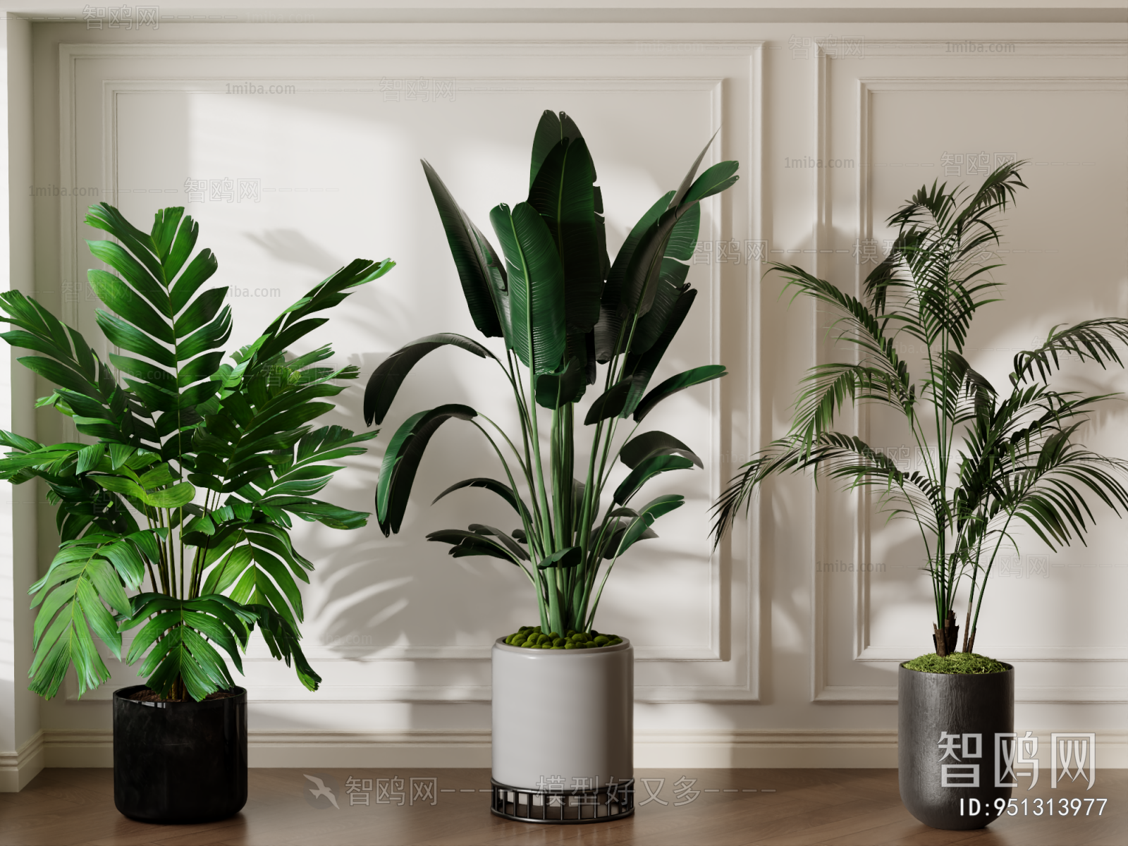 Modern Ground Green Plant Potted Plants