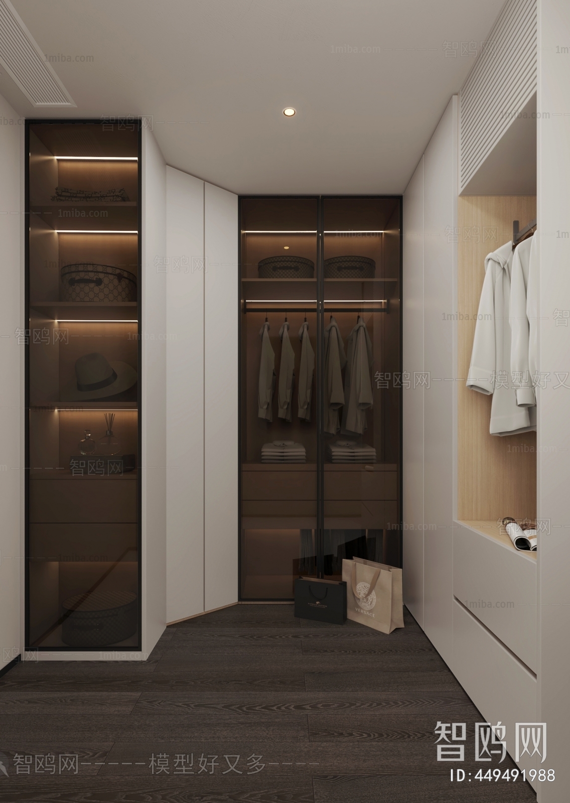 Modern Clothes Storage Area