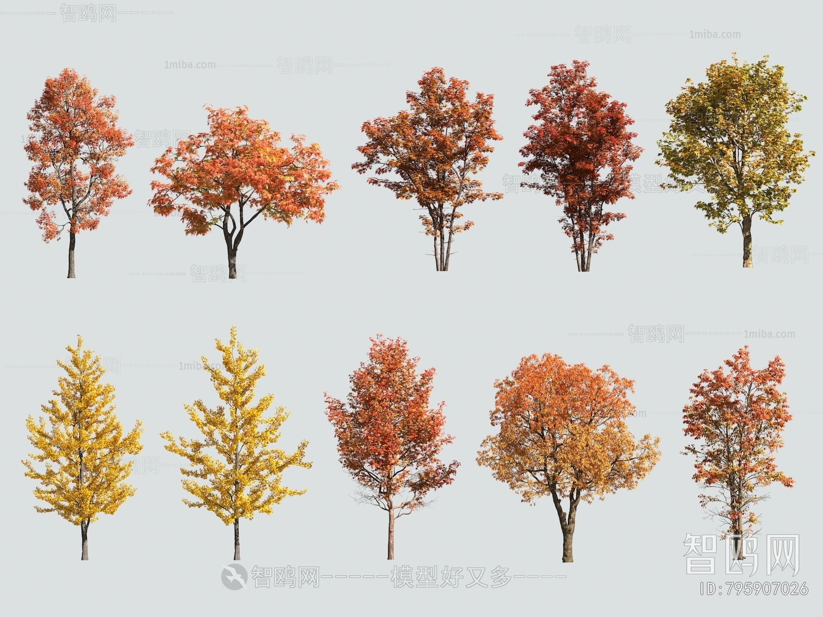 现代秋季树 黄叶树 红叶树