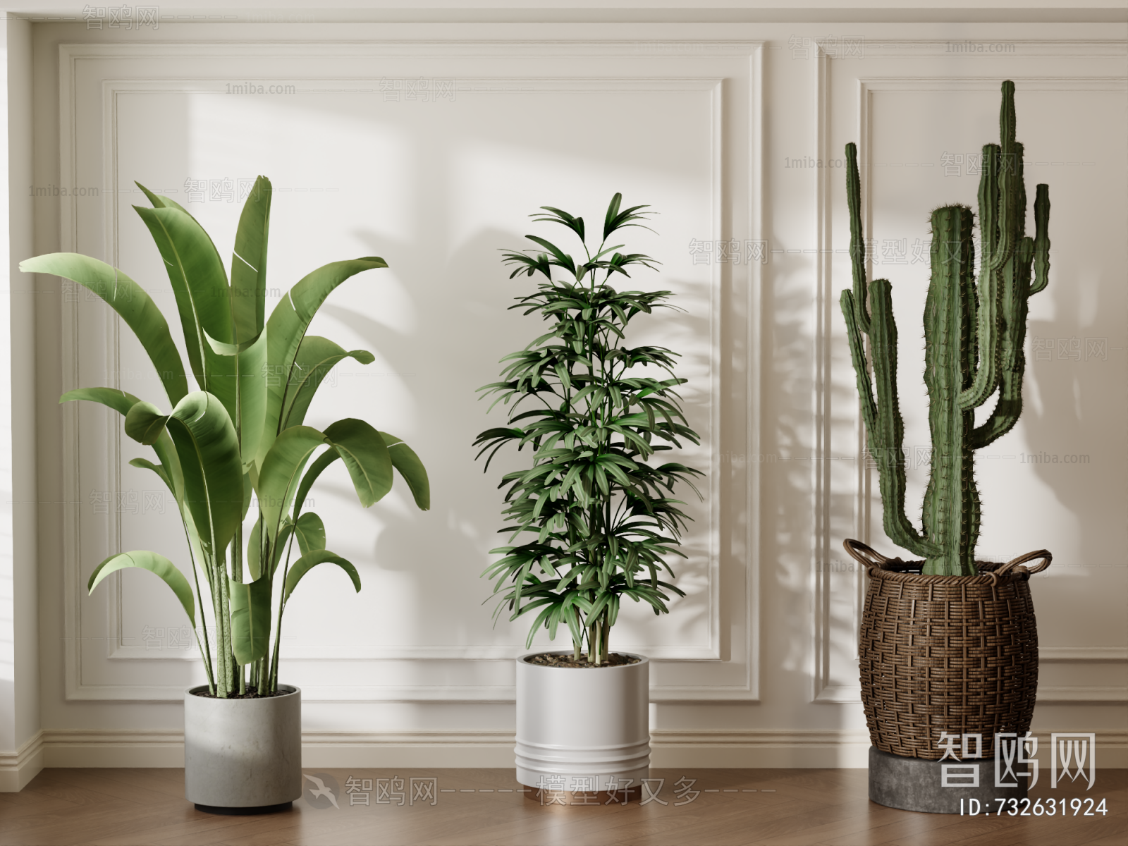 Modern Ground Green Plant Potted Plants