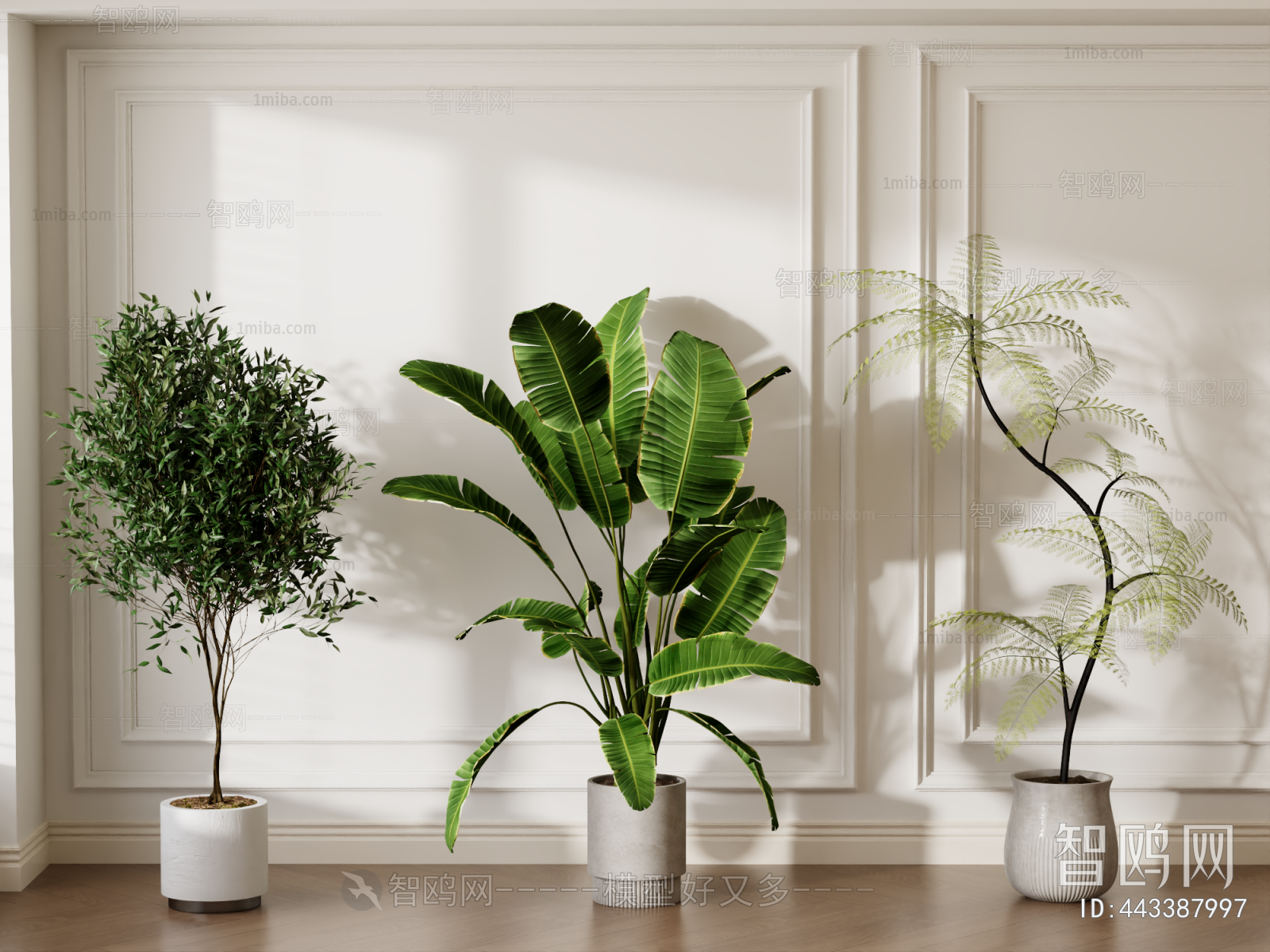 Modern Ground Green Plant Potted Plants