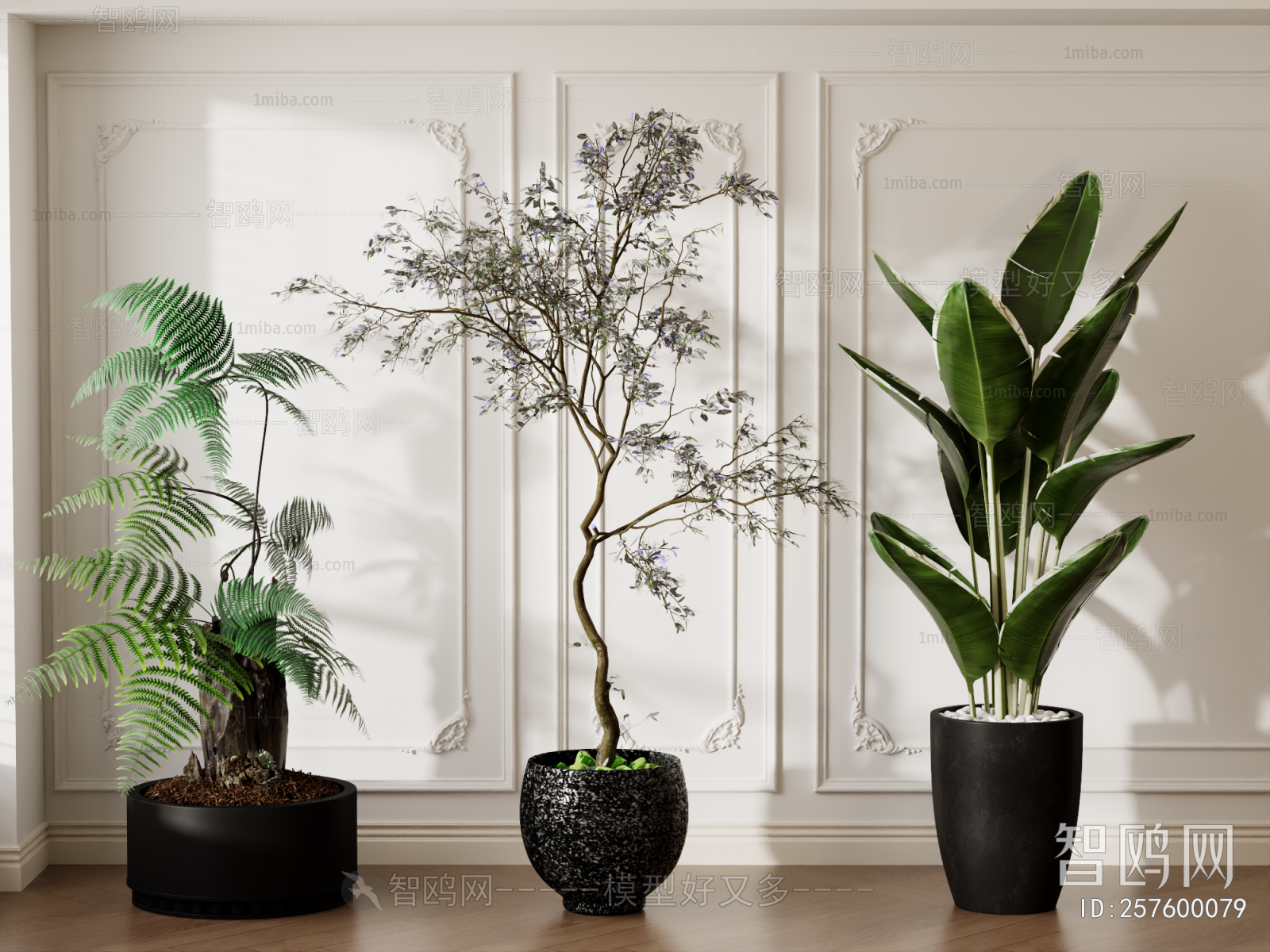 Modern Ground Green Plant Potted Plants