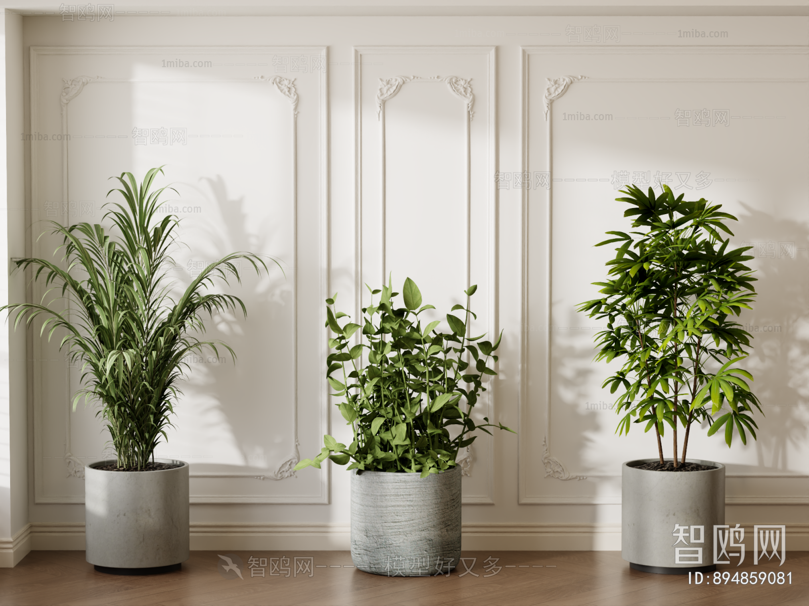 Modern Ground Green Plant Potted Plants