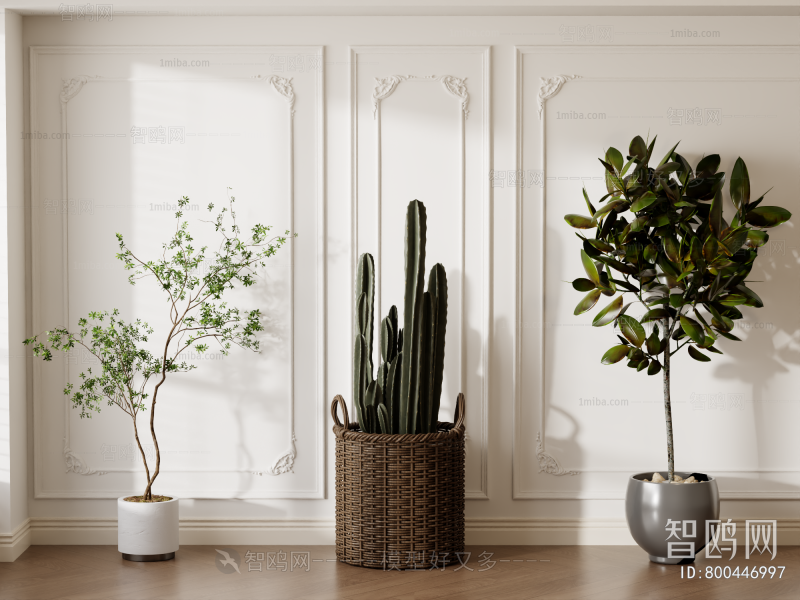 Modern Ground Green Plant Potted Plants