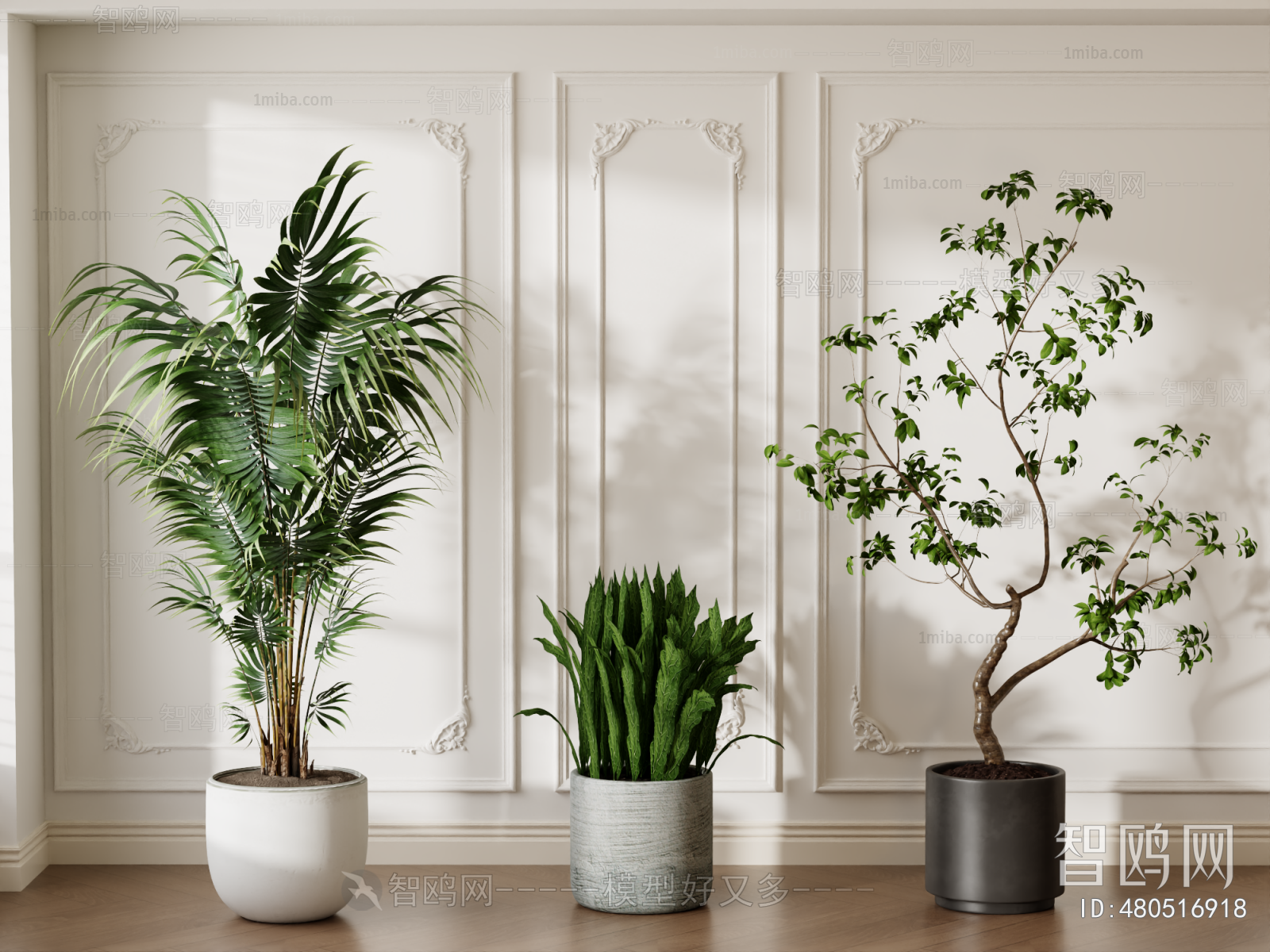 Modern Ground Green Plant Potted Plants