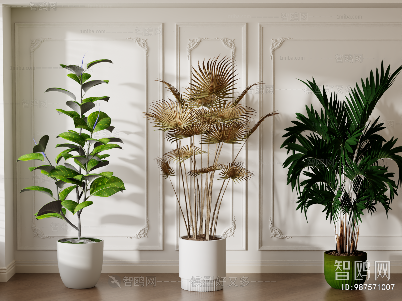 Modern Ground Green Plant Potted Plants