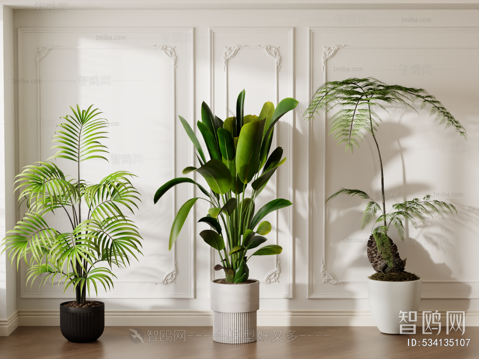 Modern Ground Green Plant Potted Plants